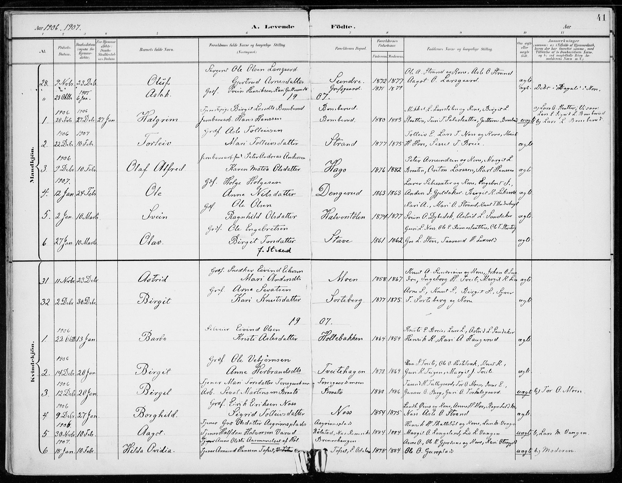 Ål kirkebøker, SAKO/A-249/F/Fa/L0009: Parish register (official) no. I 9, 1897-1915, p. 41