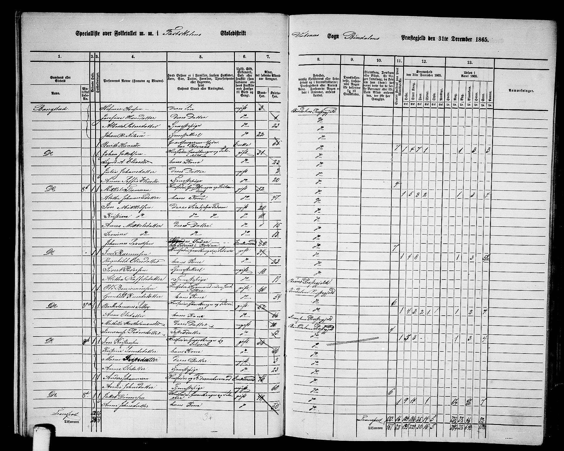 RA, 1865 census for Bindal, 1865, p. 14