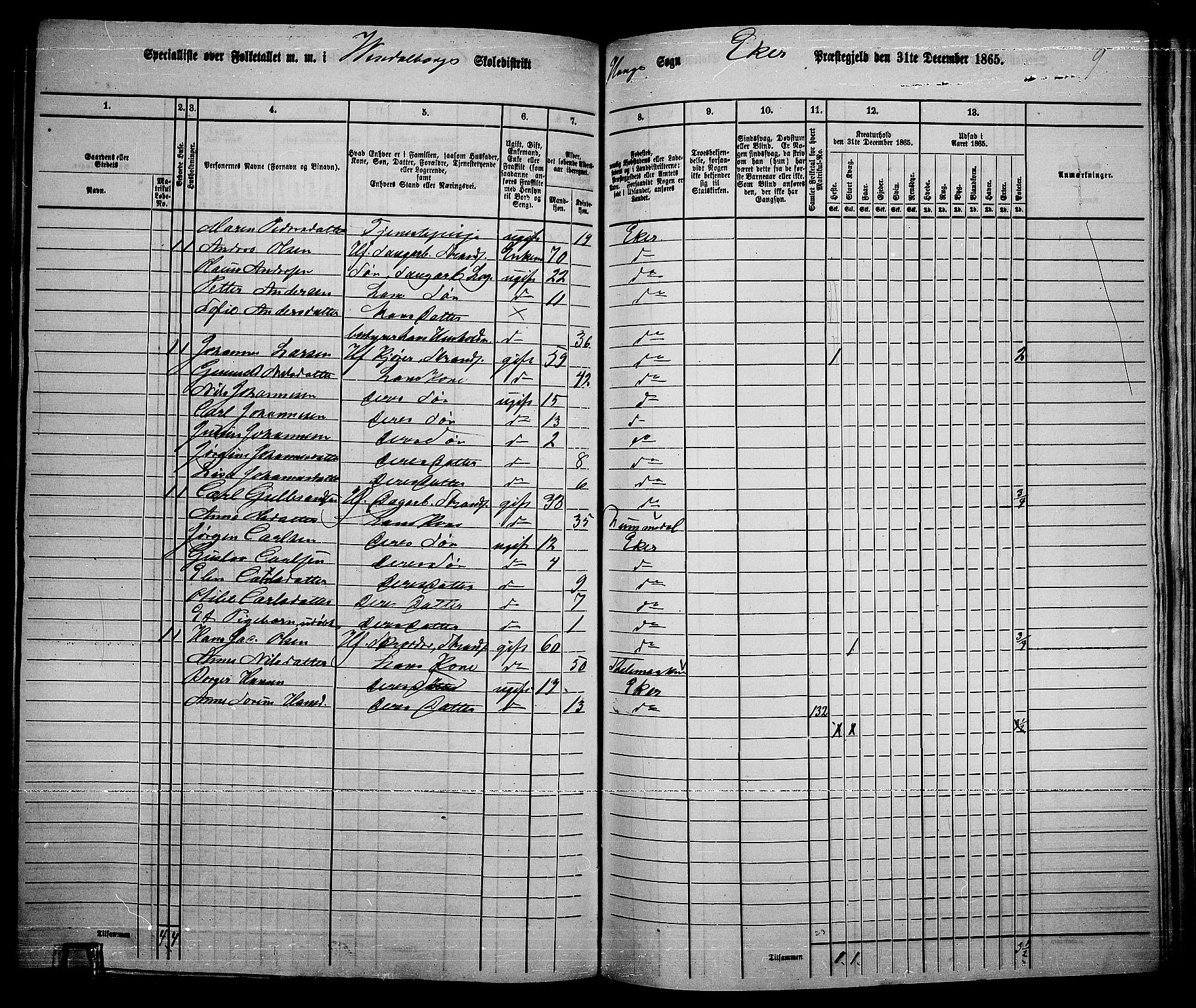 RA, 1865 census for Eiker, 1865, p. 170