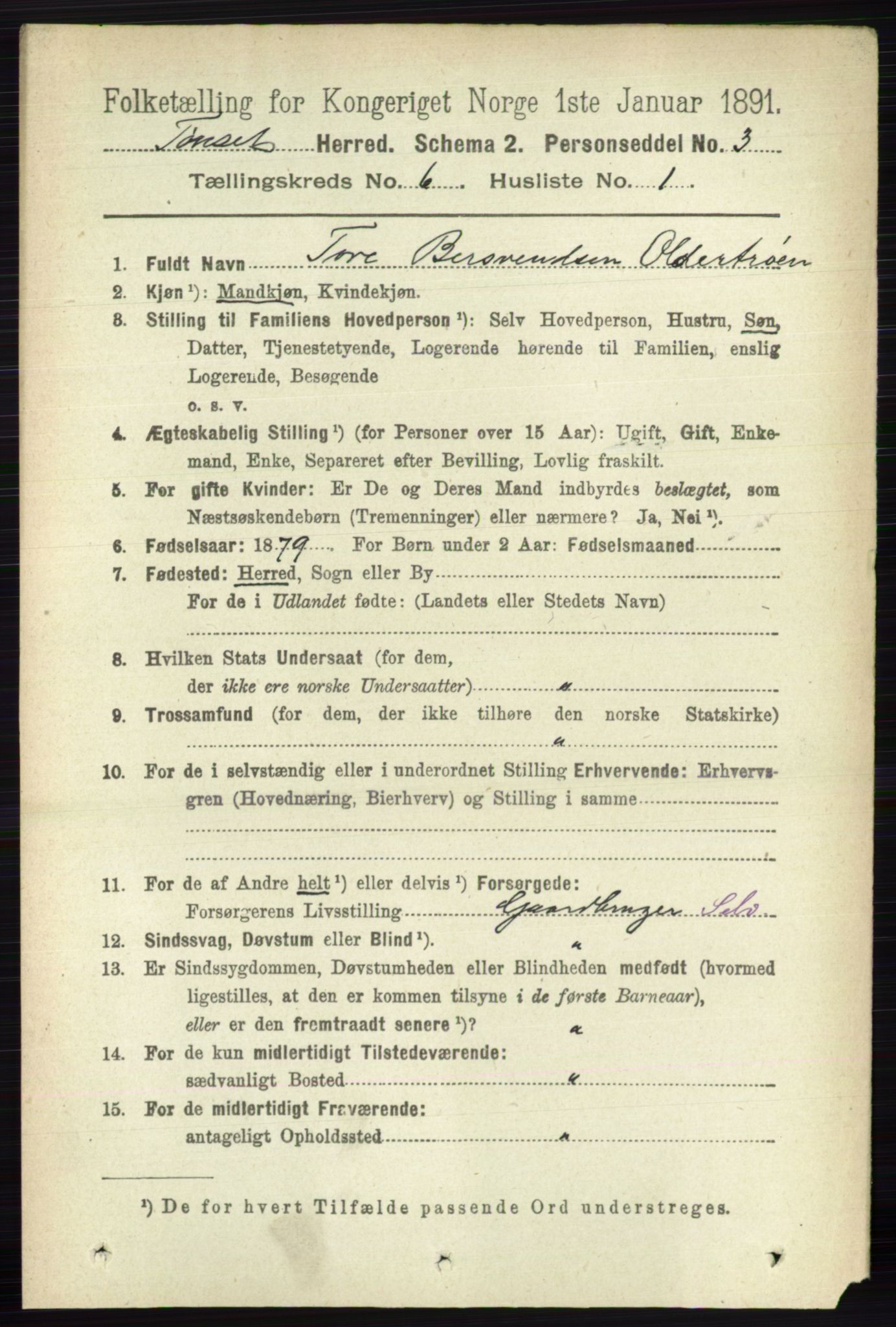 RA, 1891 census for 0437 Tynset, 1891, p. 1466