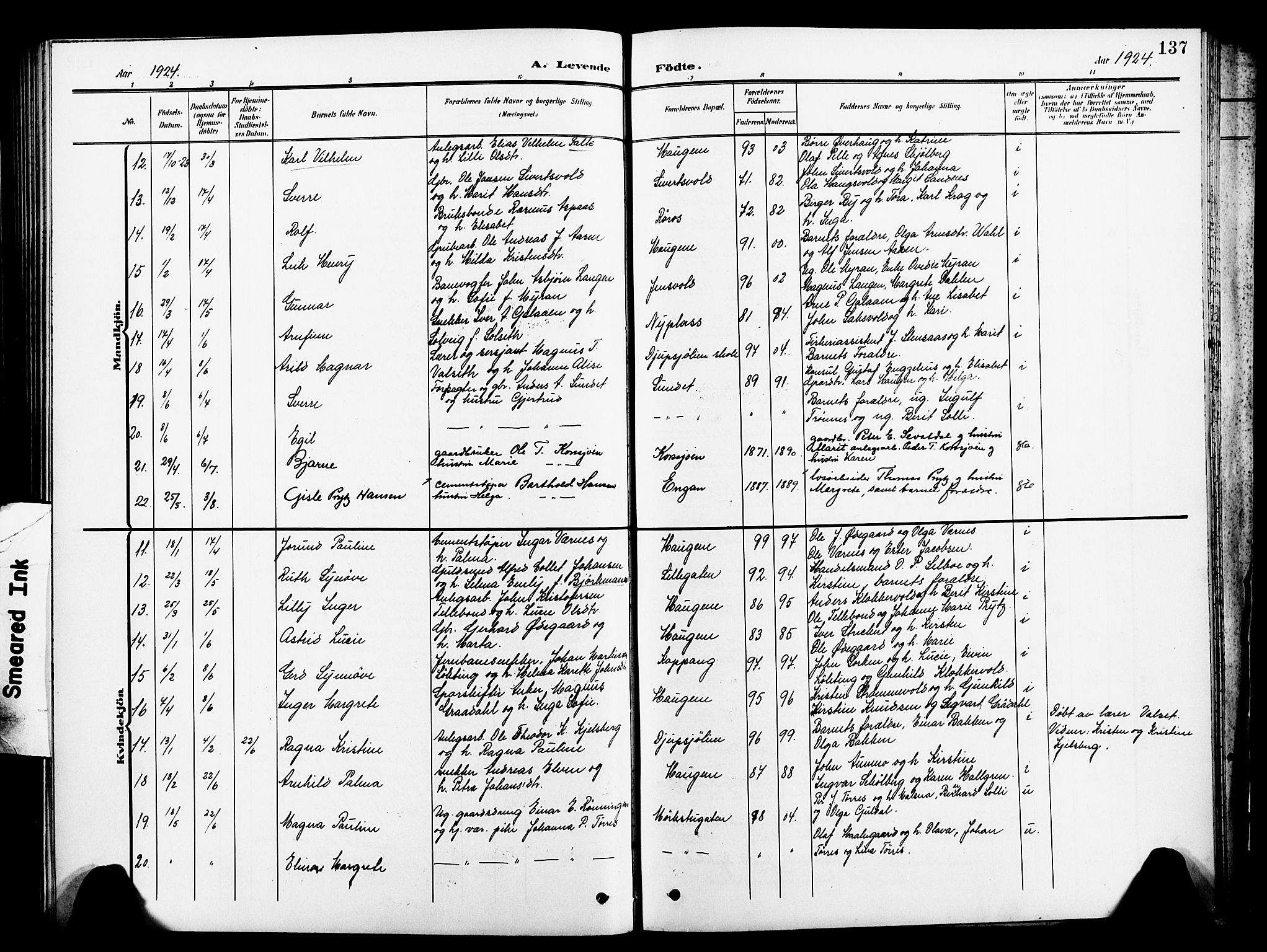 Ministerialprotokoller, klokkerbøker og fødselsregistre - Sør-Trøndelag, SAT/A-1456/681/L0942: Parish register (copy) no. 681C06, 1906-1925, p. 137