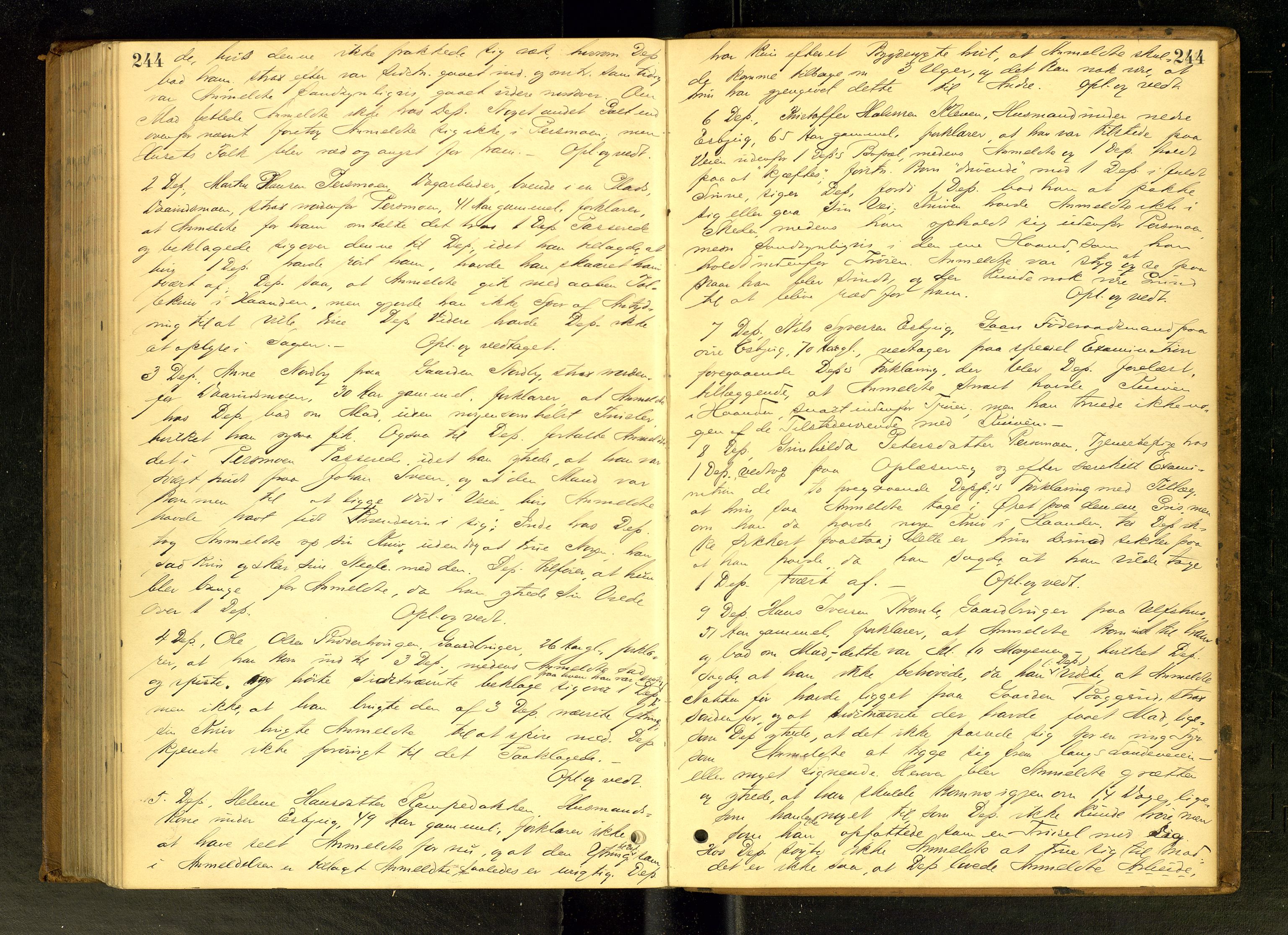Hadeland og Land tingrett, AV/SAH-TING-010/G/Gc/L0022: Ekstrarettsprotokoll, 1885-1886, p. 244