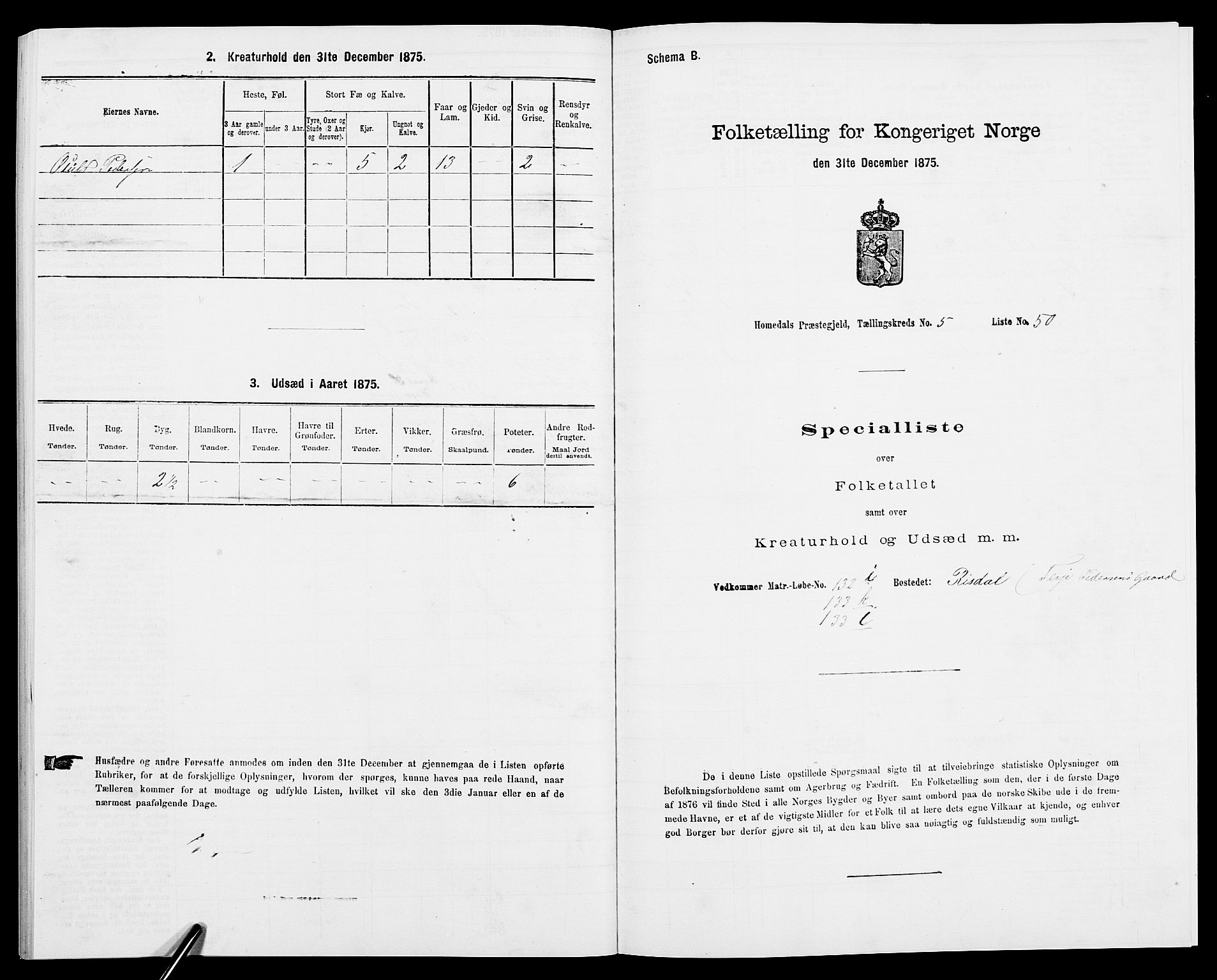 SAK, 1875 census for 0924P Homedal, 1875, p. 1032