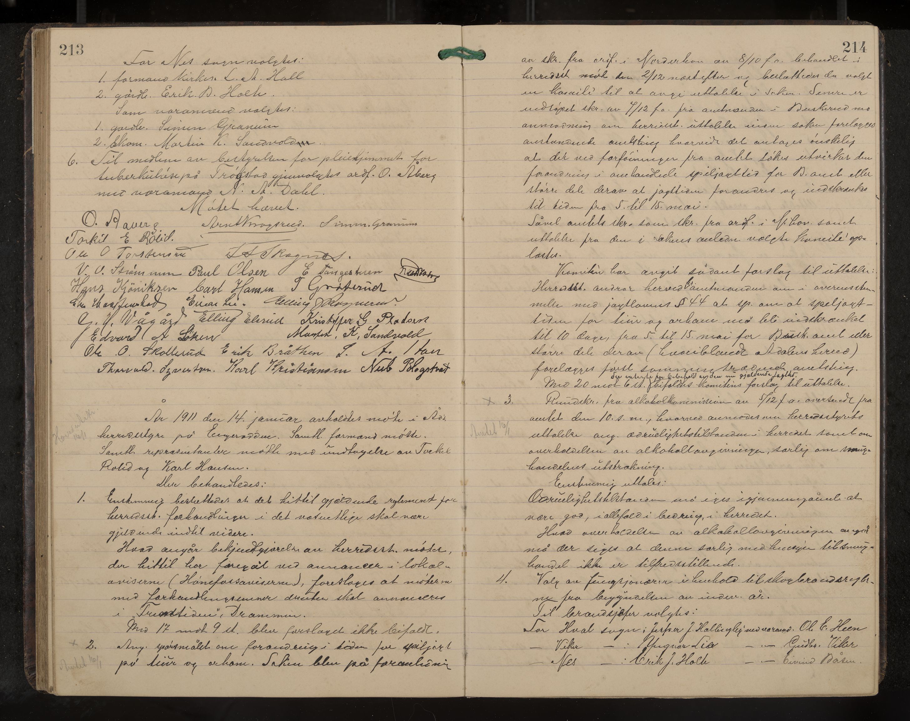 Ådal formannskap og sentraladministrasjon, IKAK/0614021/A/Aa/L0003: Møtebok, 1907-1914, p. 213-214