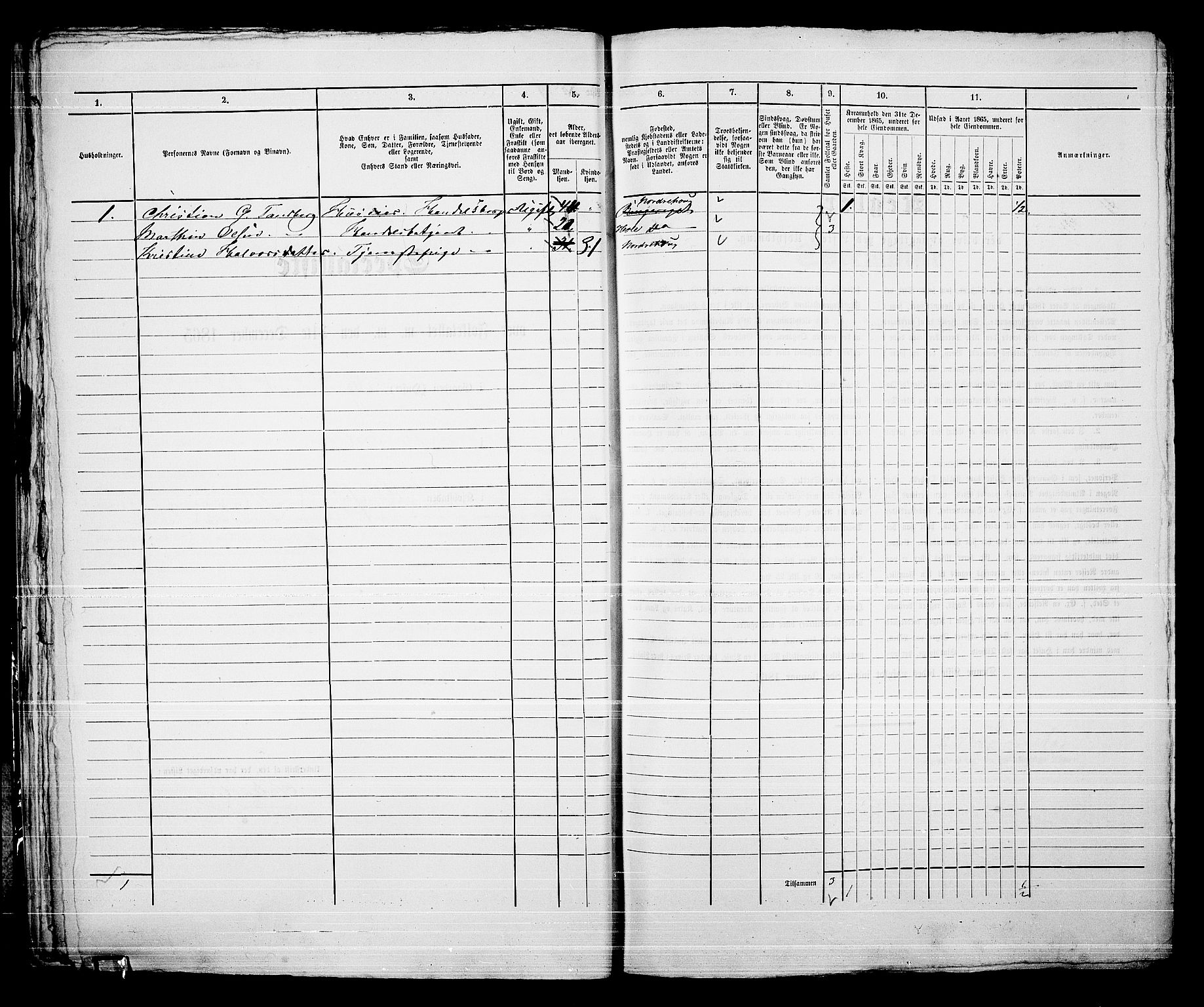 RA, 1865 census for Norderhov/Hønefoss, 1865, p. 41