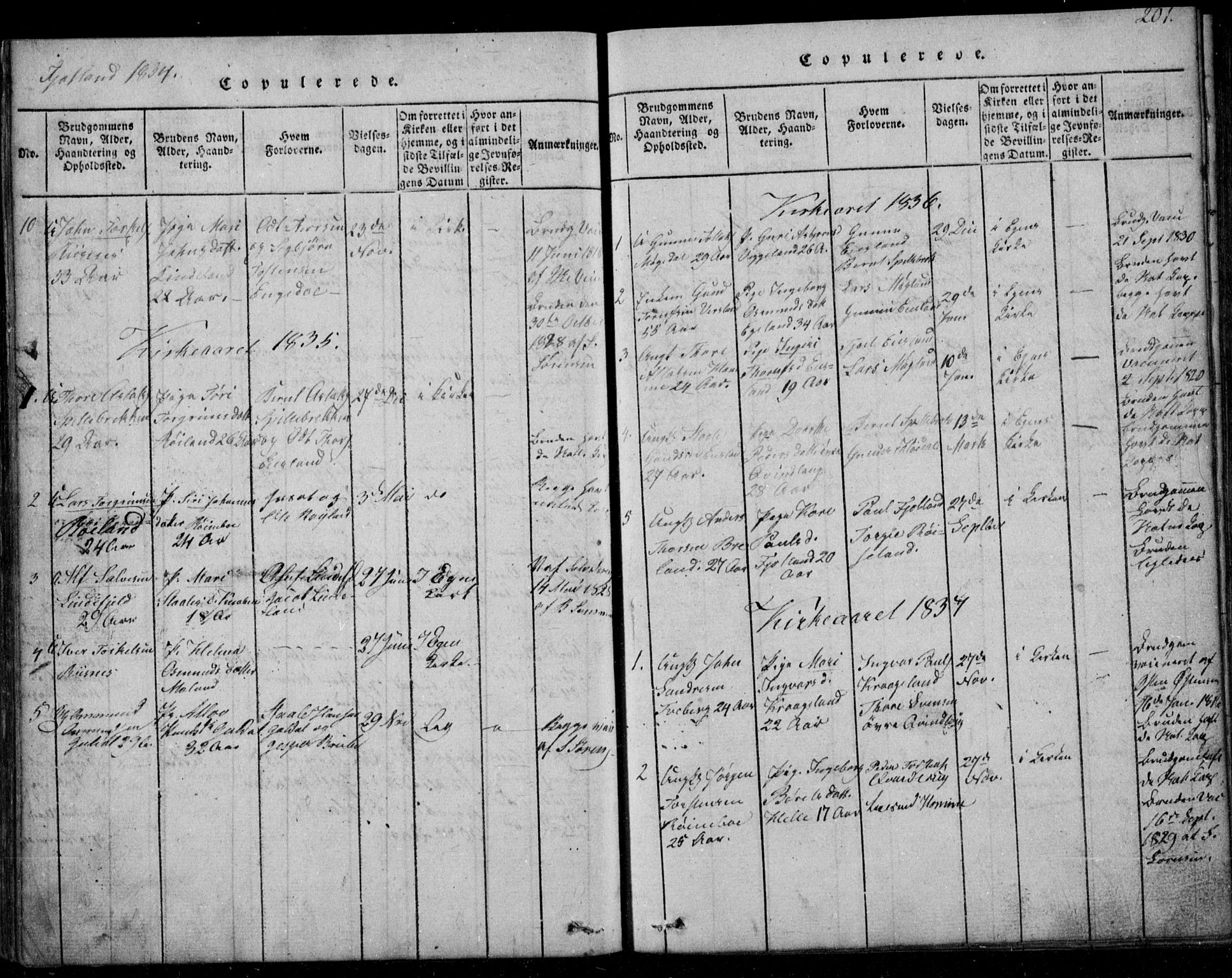 Fjotland sokneprestkontor, SAK/1111-0010/F/Fb/L0001: Parish register (copy) no. B 1, 1816-1849, p. 201