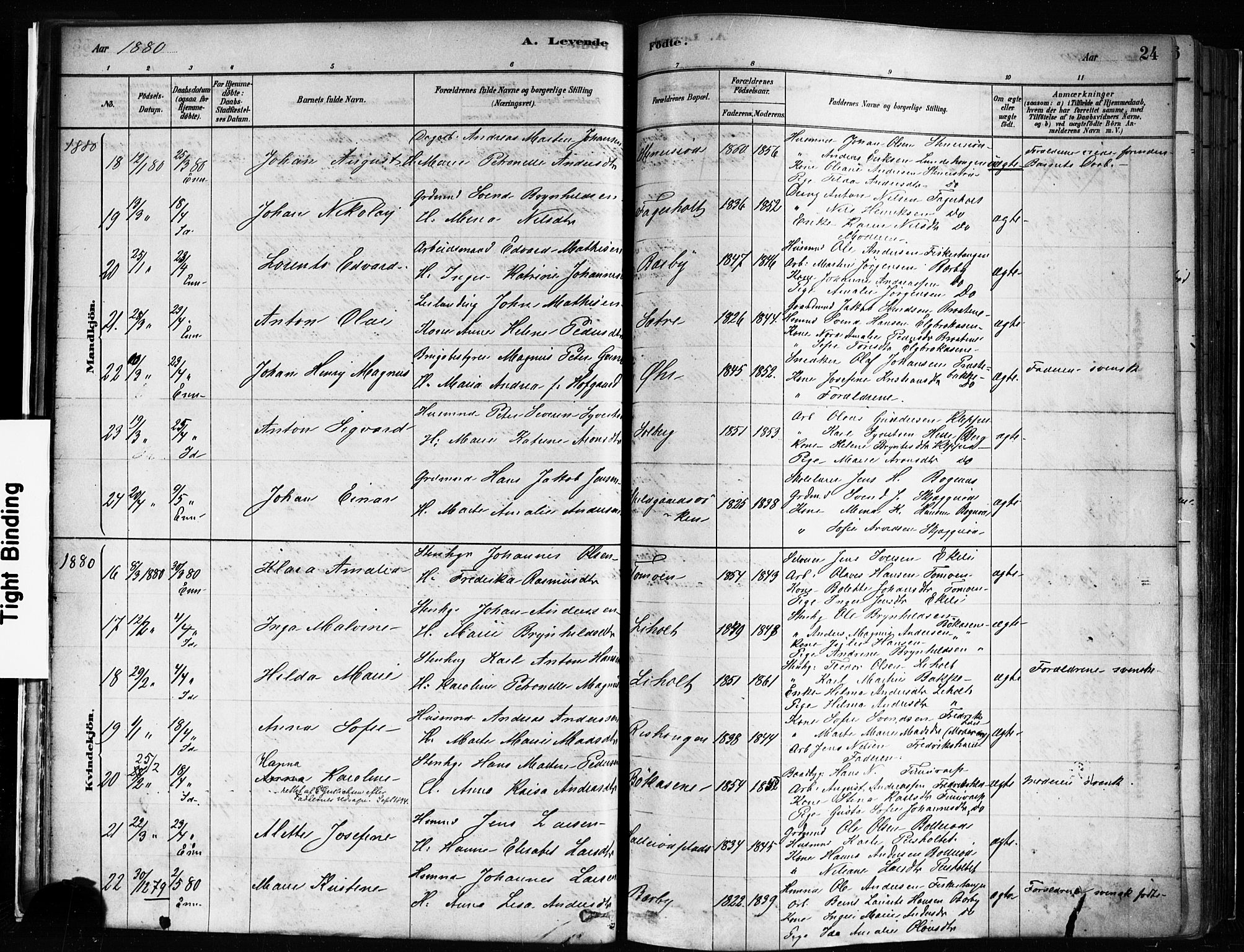 Idd prestekontor Kirkebøker, AV/SAO-A-10911/F/Fc/L0006a: Parish register (official) no. III 6A, 1878-1903, p. 24