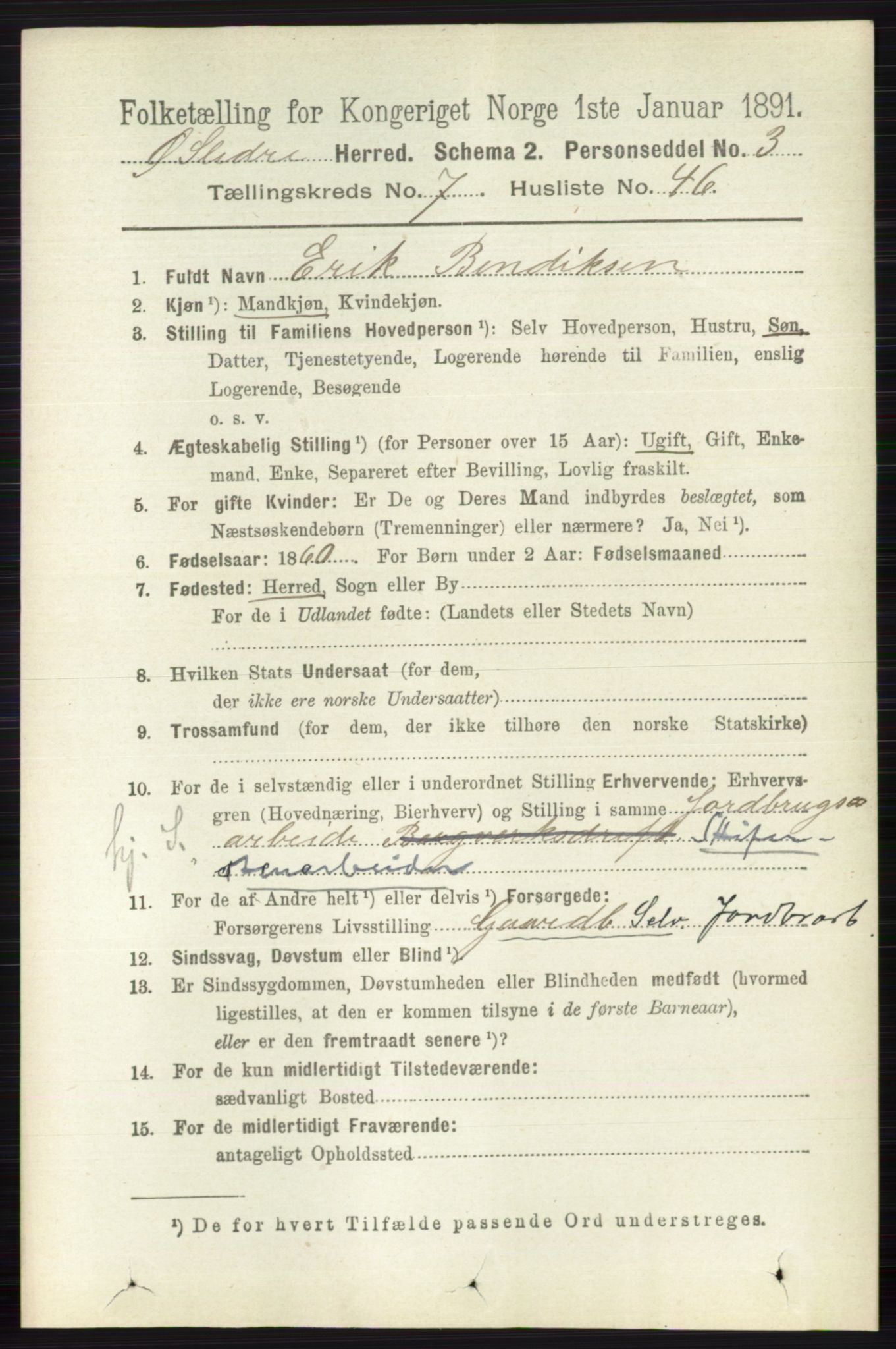 RA, 1891 census for 0544 Øystre Slidre, 1891, p. 2425