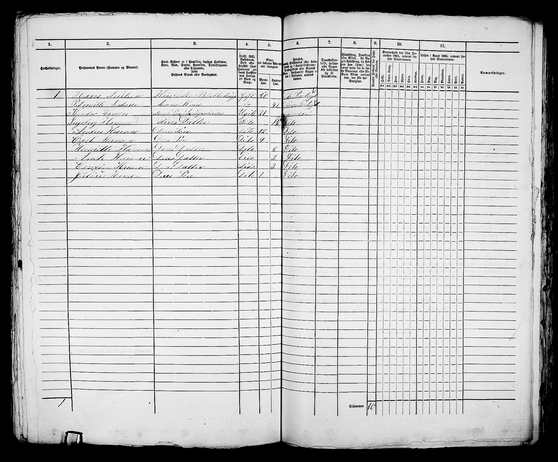 RA, 1865 census for Bragernes in Drammen, 1865, p. 1088