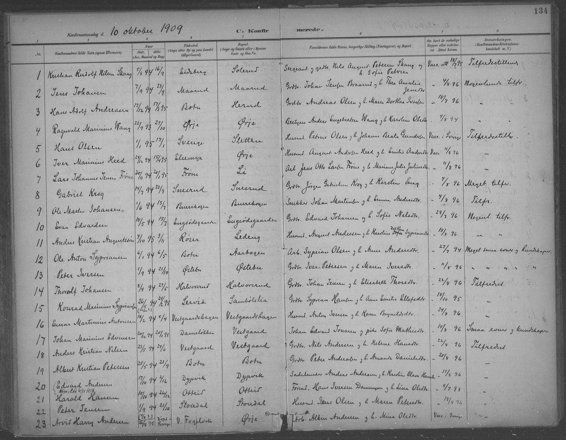 Aremark prestekontor Kirkebøker, AV/SAO-A-10899/F/Fb/L0005: Parish register (official) no. II 5, 1895-1919, p. 134