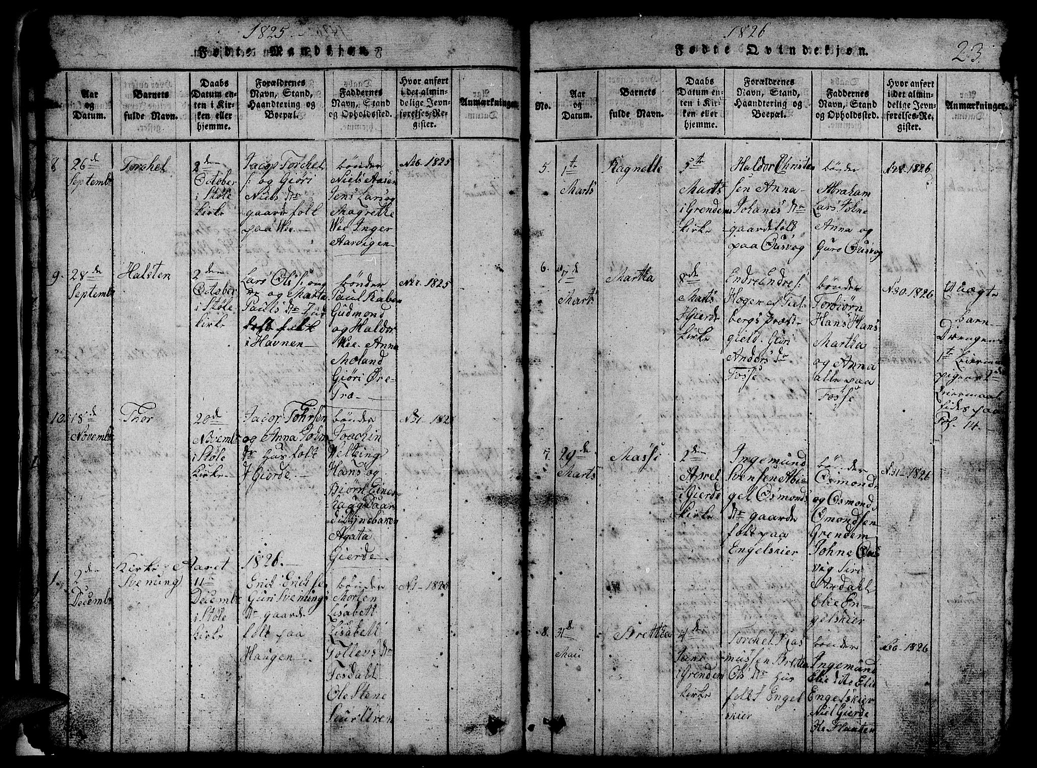 Etne sokneprestembete, AV/SAB-A-75001/H/Hab: Parish register (copy) no. B 1, 1815-1850, p. 23