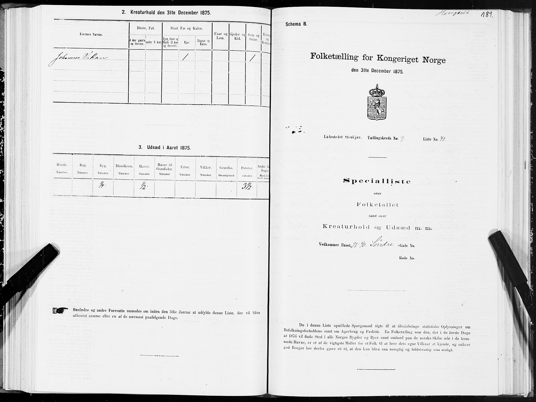 SAT, 1875 census for 1702B Steinkjer/Steinkjer, 1875, p. 189