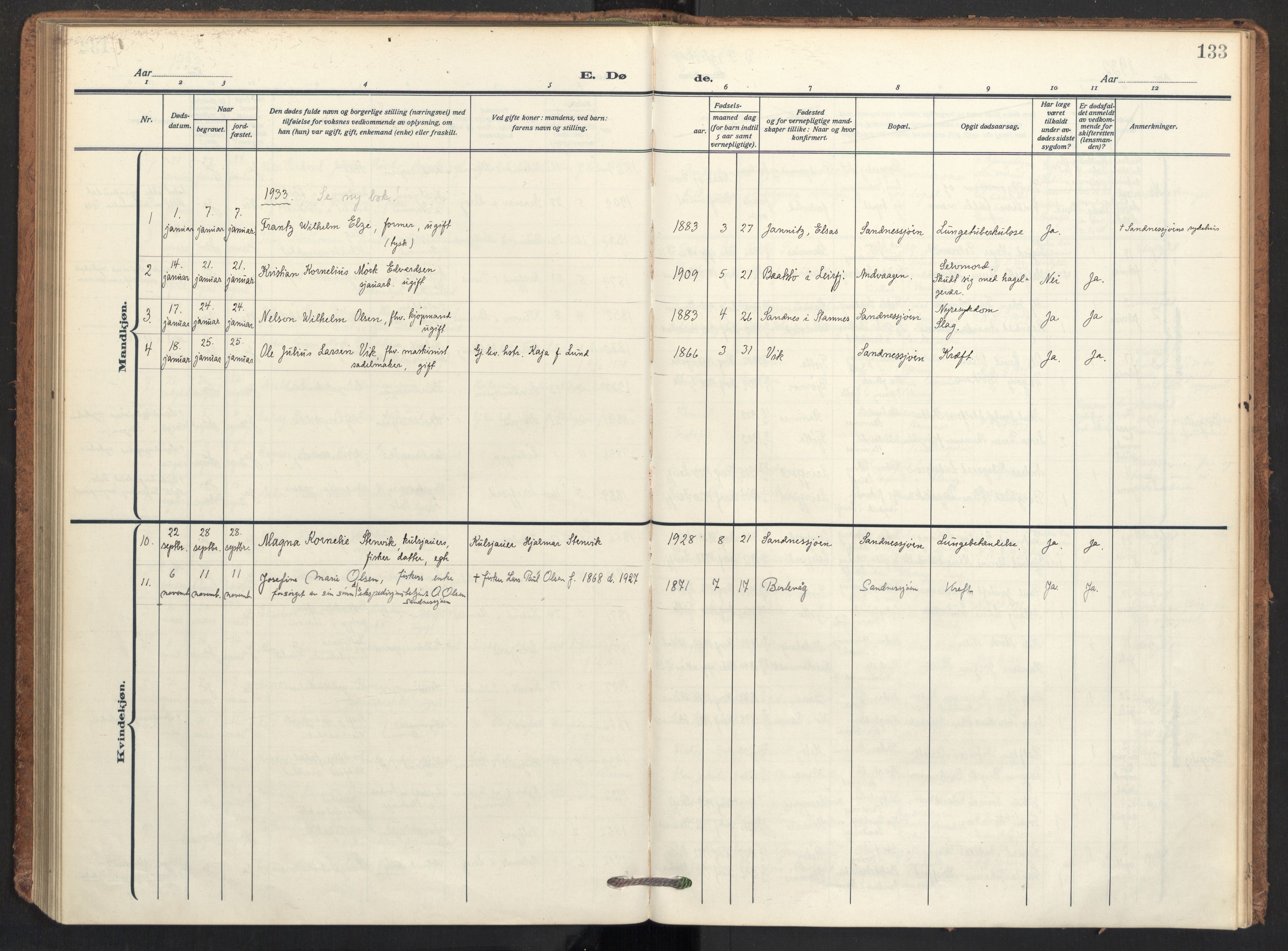 Ministerialprotokoller, klokkerbøker og fødselsregistre - Nordland, AV/SAT-A-1459/831/L0473: Parish register (official) no. 831A04, 1909-1934, p. 133