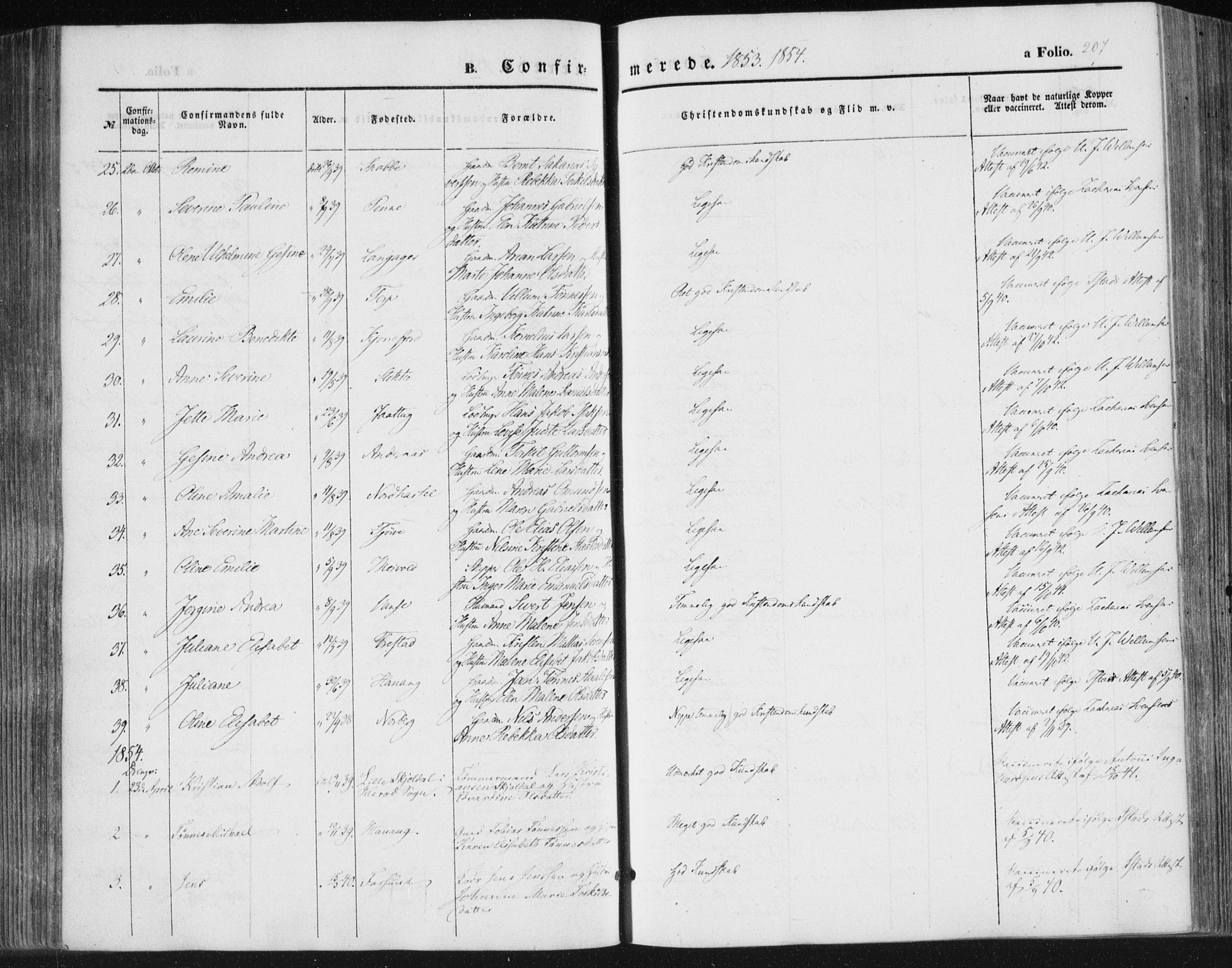 Lista sokneprestkontor, SAK/1111-0027/F/Fa/L0010: Parish register (official) no. A 10, 1846-1861, p. 207