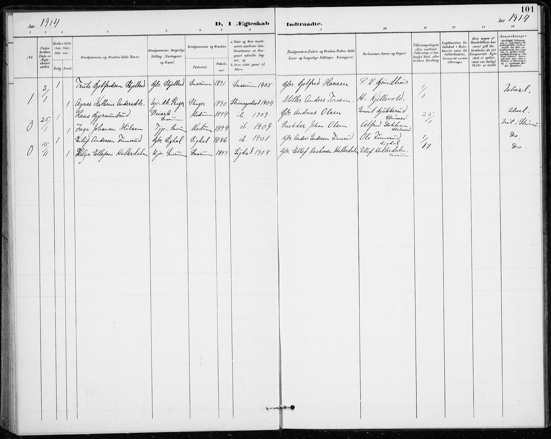 Modum kirkebøker, AV/SAKO-A-234/F/Fa/L0020: Parish register (official) no. 20, 1900-1917, p. 101