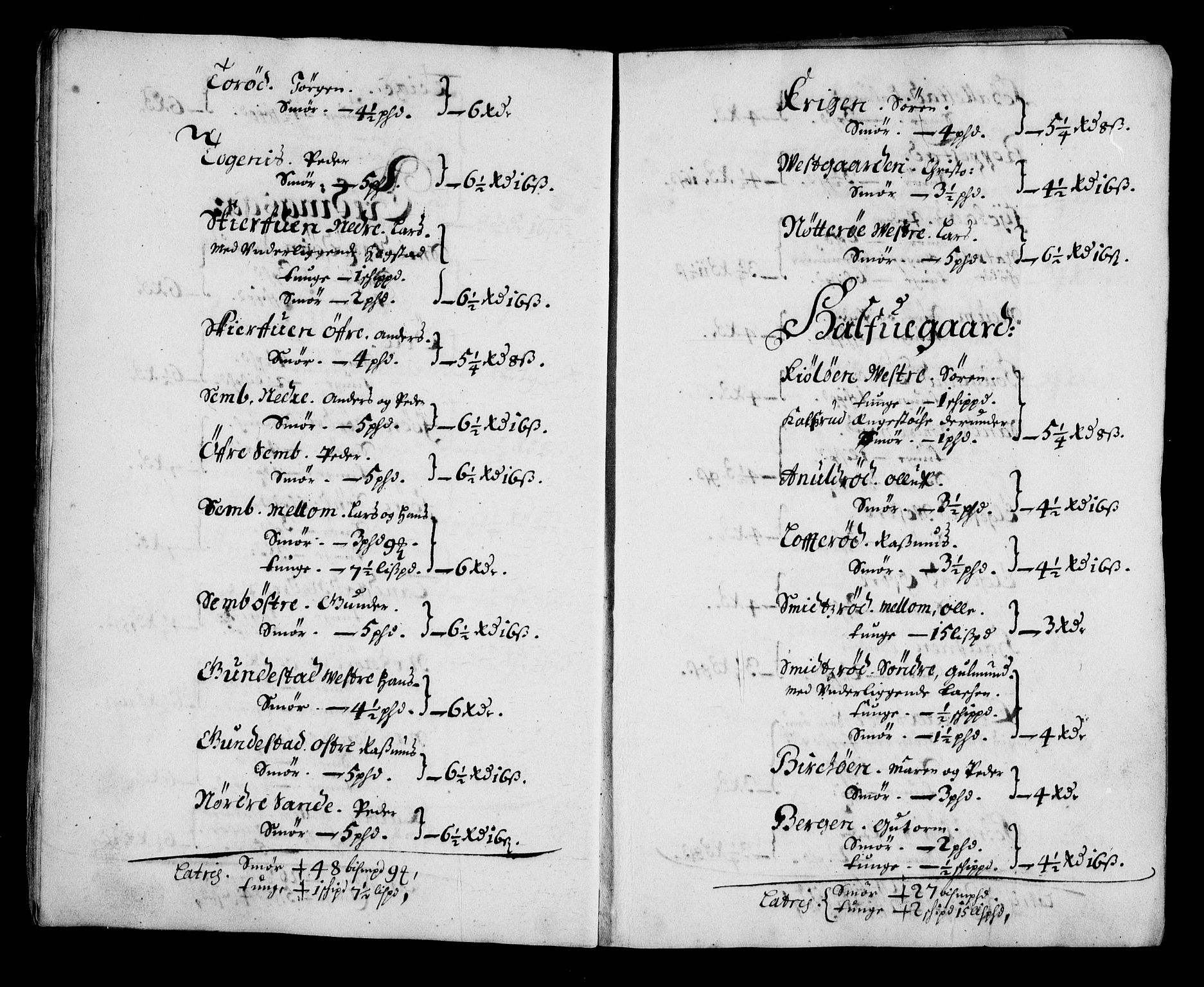 Rentekammeret inntil 1814, Realistisk ordnet avdeling, AV/RA-EA-4070/N/Na/L0003/0001: [XI h]: Tønsbergs amt og Larvik grevskaps jordebøker: / (A) Leilendigsskatt inkl. håndverkere, husmenn og strandsittere, samt Griffenfelds jordegods i Larvik grevskap., 1674