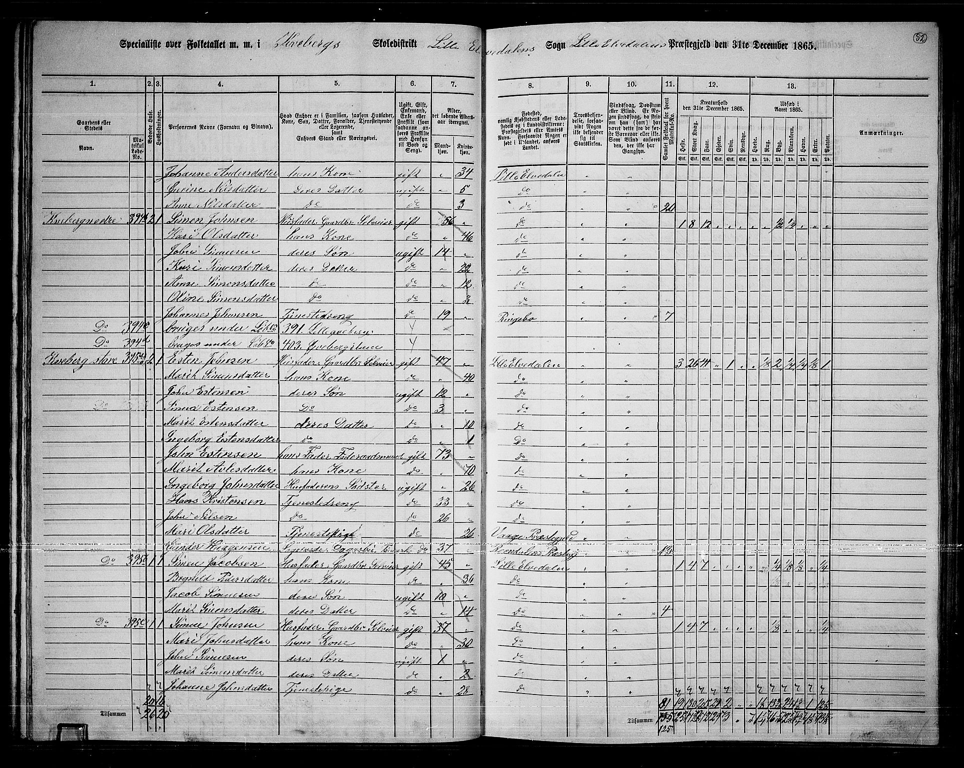 RA, 1865 census for Lille Elvedalen, 1865, p. 47