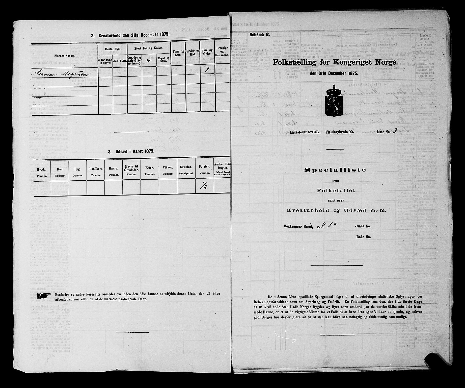 SAKO, 1875 census for 0701B Strømm/Svelvik, 1875, p. 12