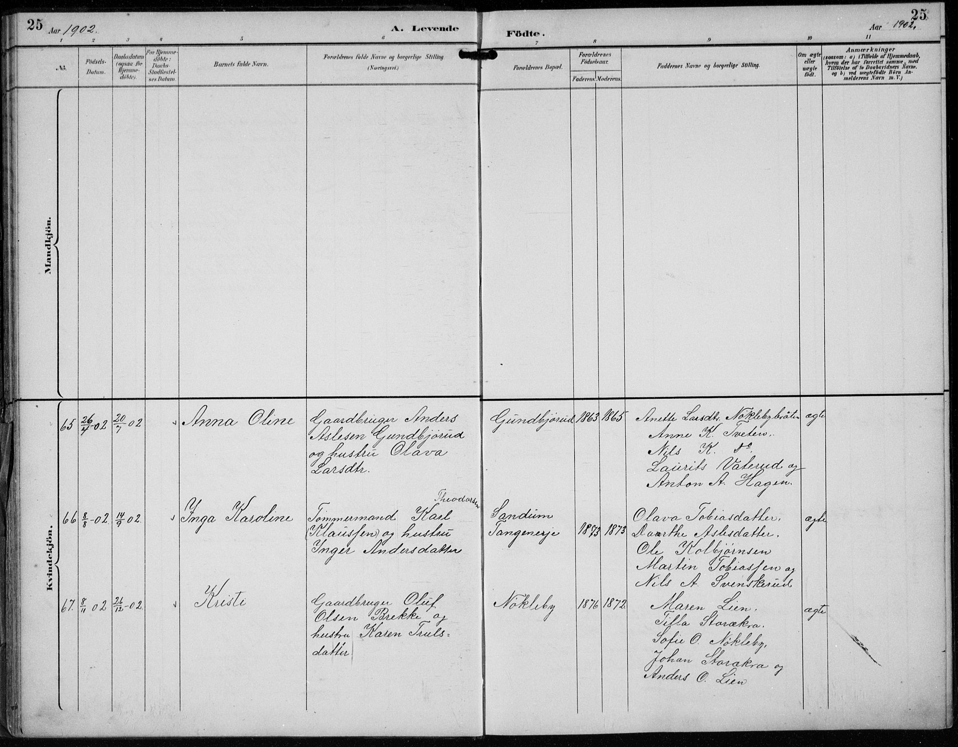 Lunder kirkebøker, AV/SAKO-A-629/F/Fb/L0001: Parish register (official) no. II 1, 1893-1916, p. 25