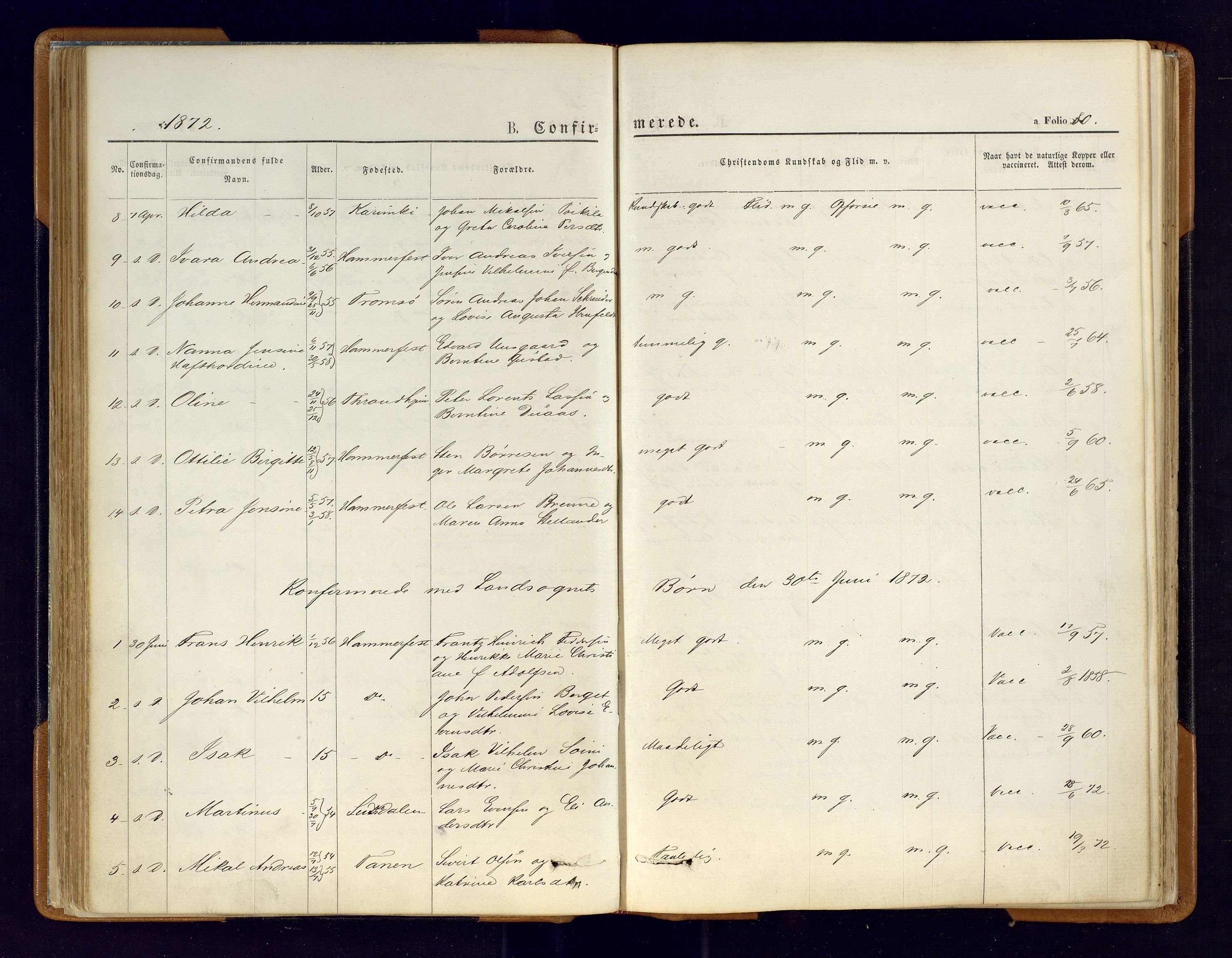 Hammerfest sokneprestkontor, SATØ/S-1347/H/Ha/L0006.kirke: Parish register (official) no. 6, 1869-1877, p. 80