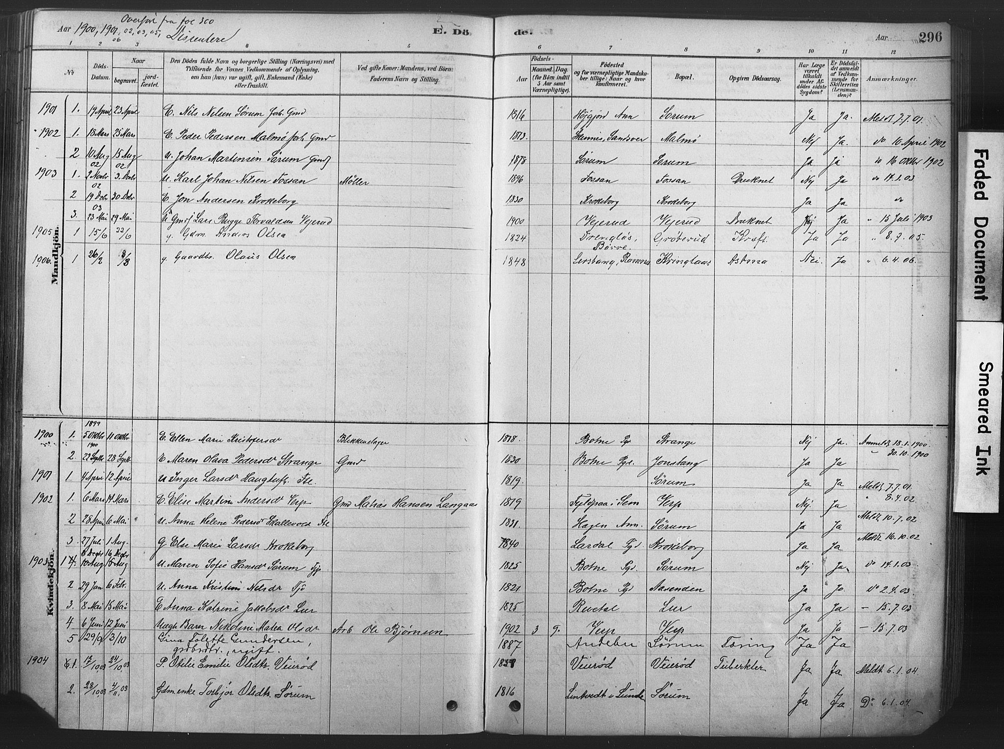 Våle kirkebøker, SAKO/A-334/F/Fa/L0011: Parish register (official) no. I 11, 1878-1906, p. 296