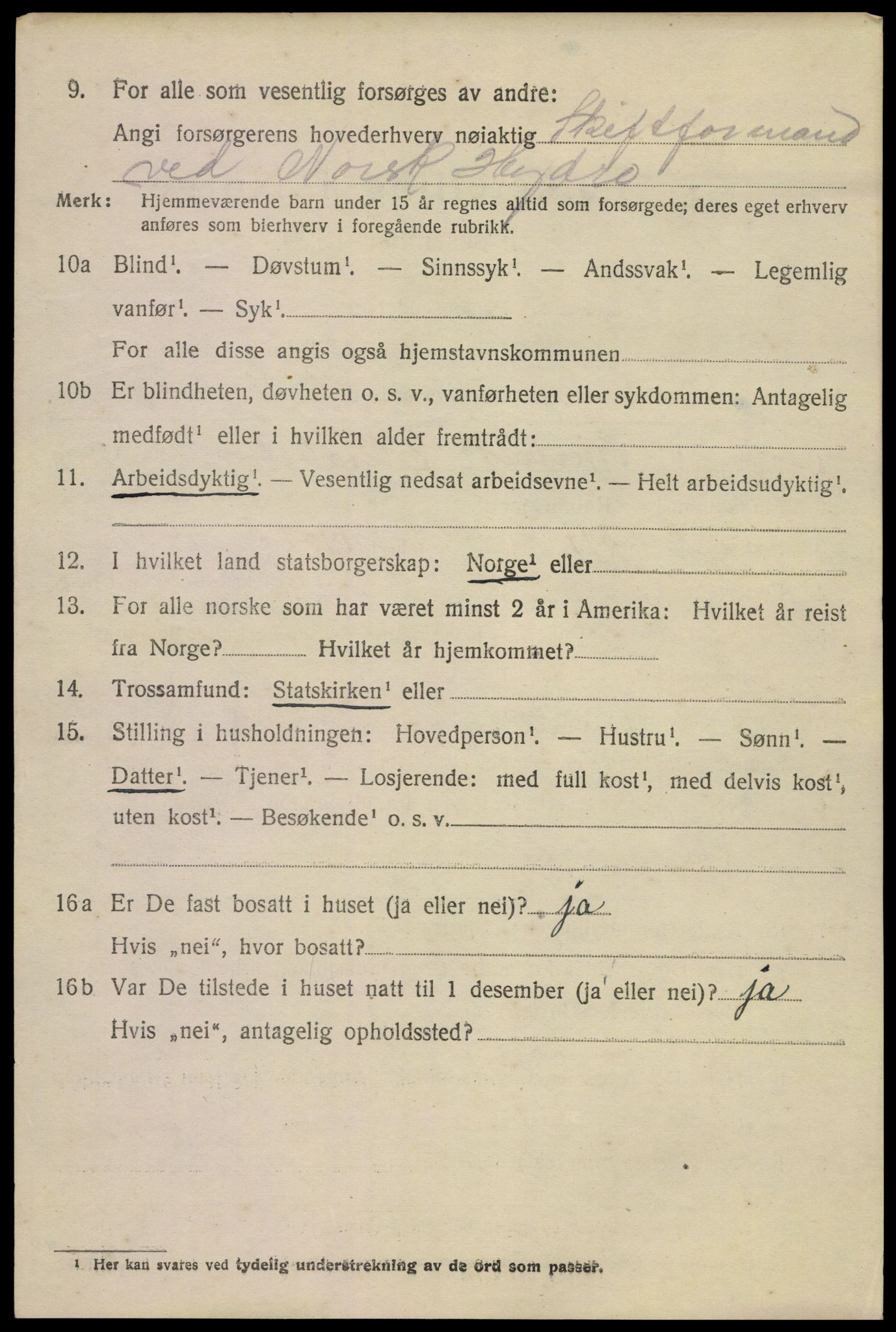 SAKO, 1920 census for Tinn, 1920, p. 13737