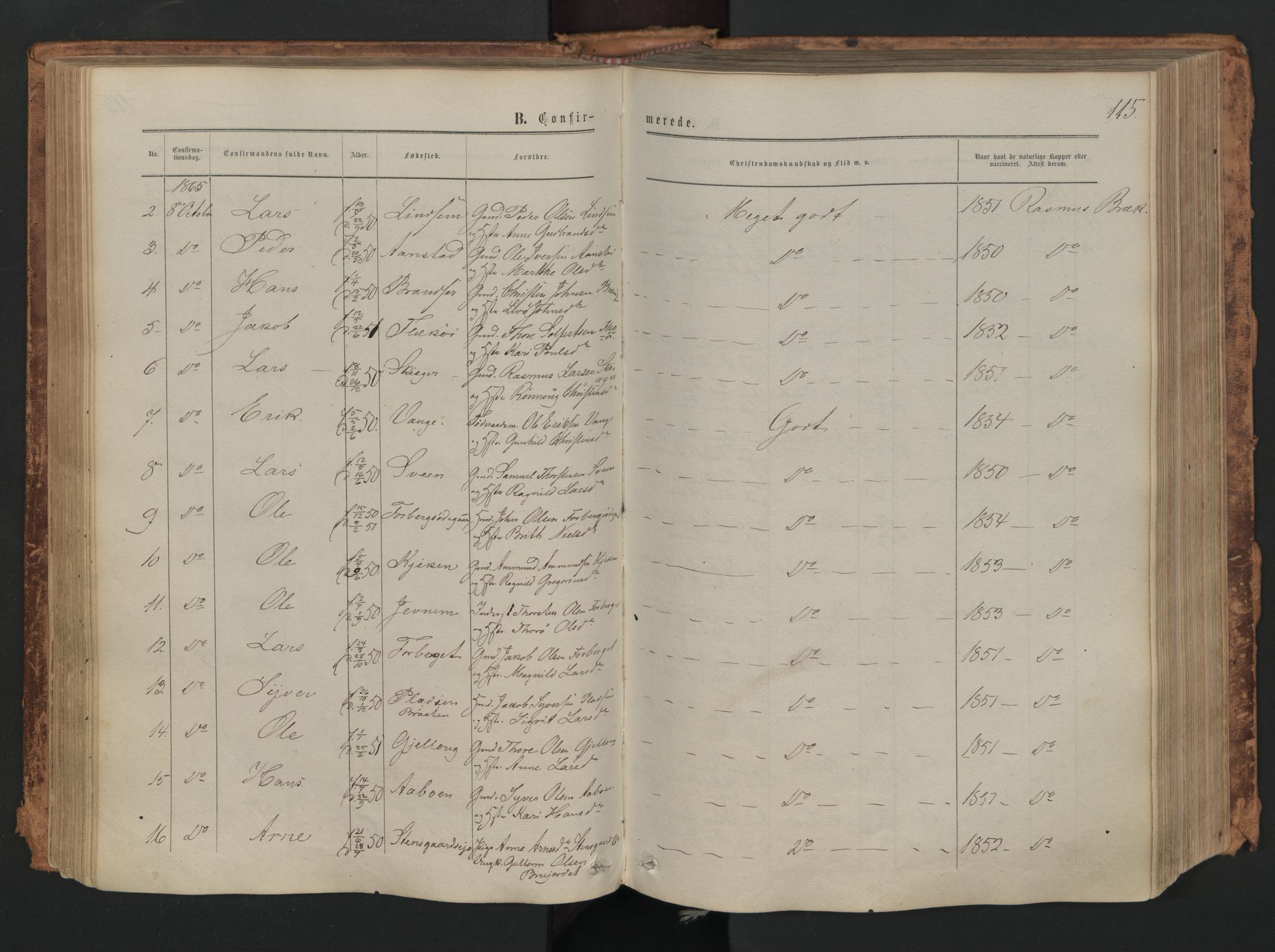 Skjåk prestekontor, SAH/PREST-072/H/Ha/Haa/L0001: Parish register (official) no. 1, 1863-1879, p. 115