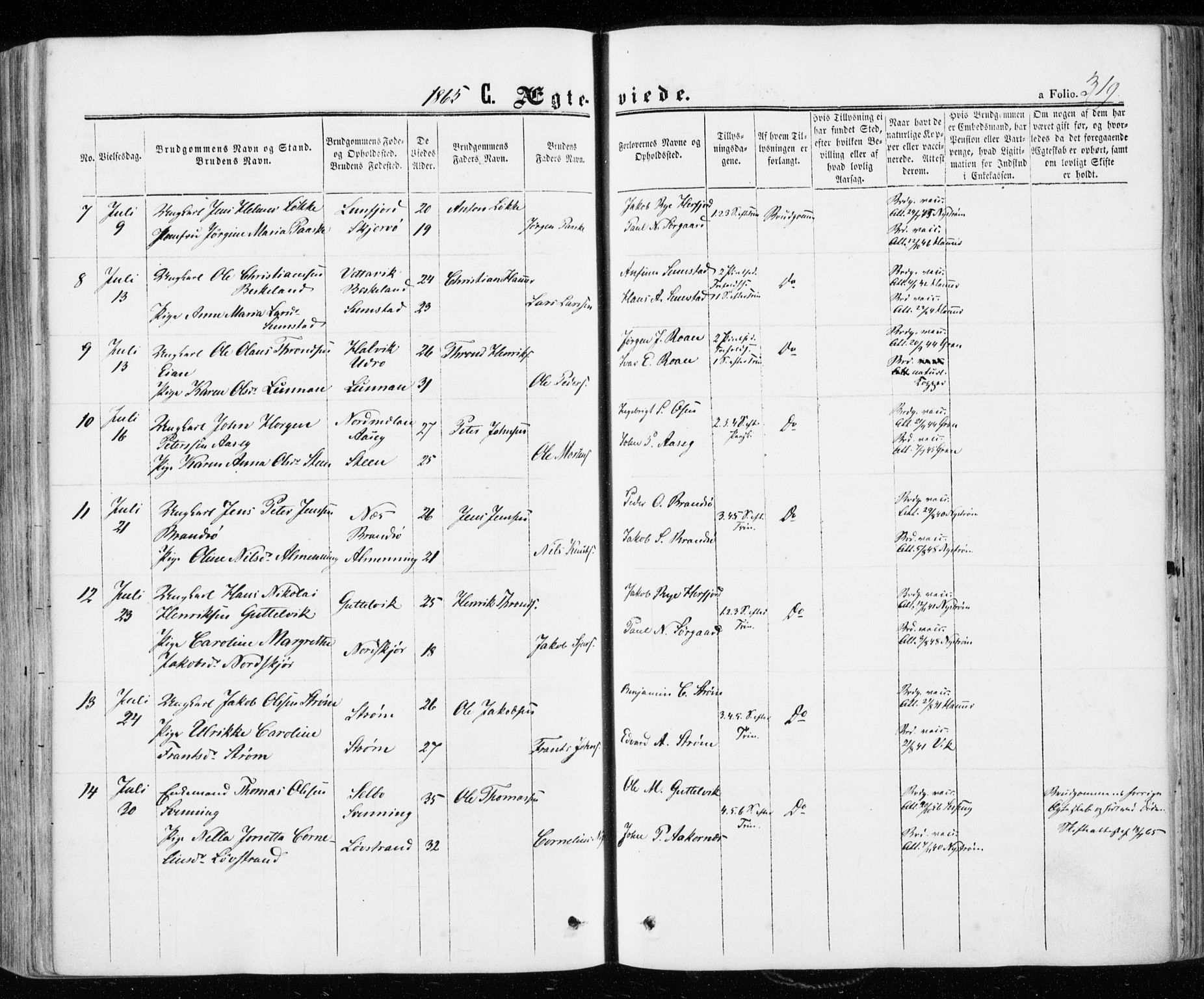 Ministerialprotokoller, klokkerbøker og fødselsregistre - Sør-Trøndelag, SAT/A-1456/657/L0705: Parish register (official) no. 657A06, 1858-1867, p. 319