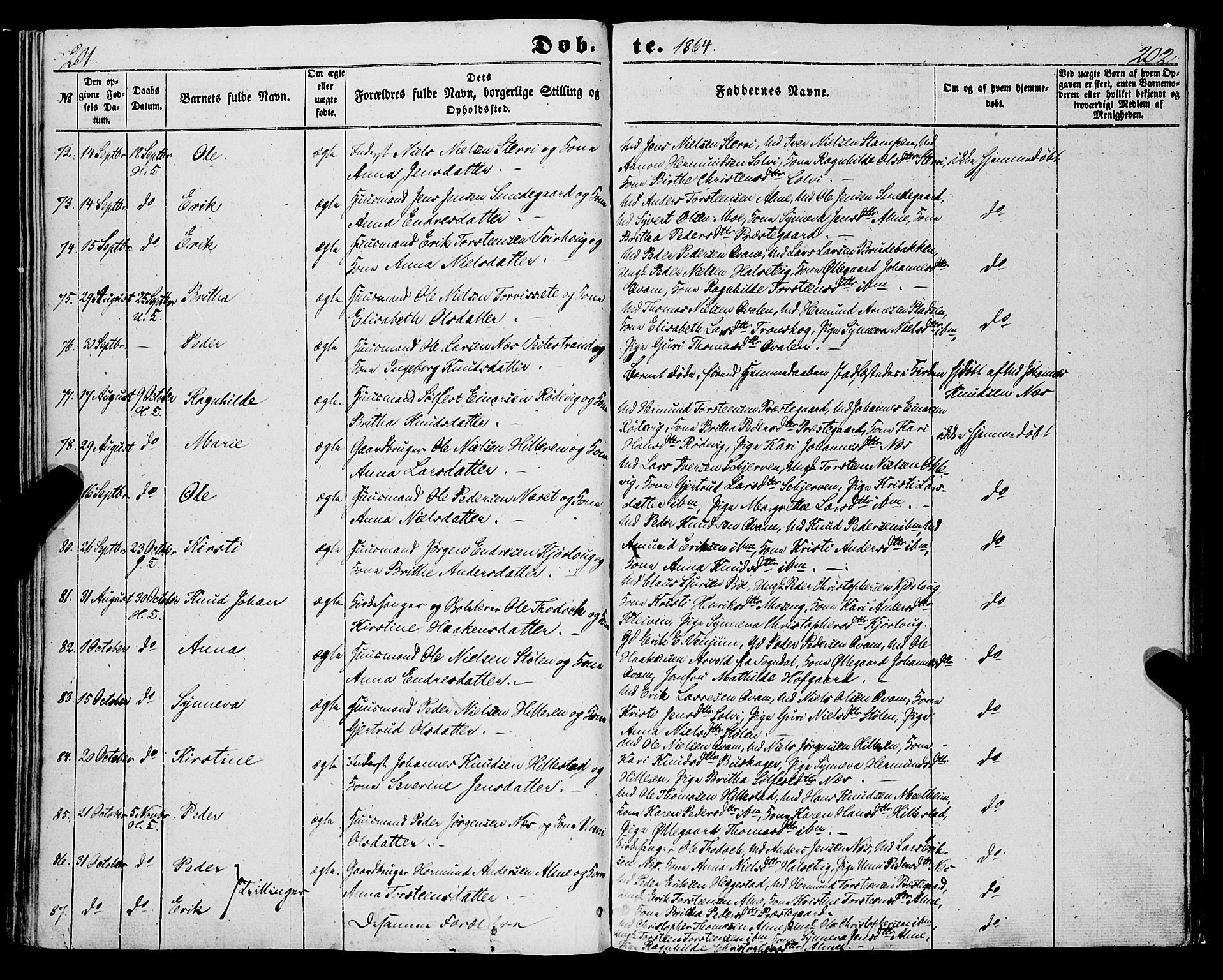 Hafslo sokneprestembete, AV/SAB-A-80301/H/Haa/Haaa/L0009: Parish register (official) no. A 9, 1852-1873, p. 201-202