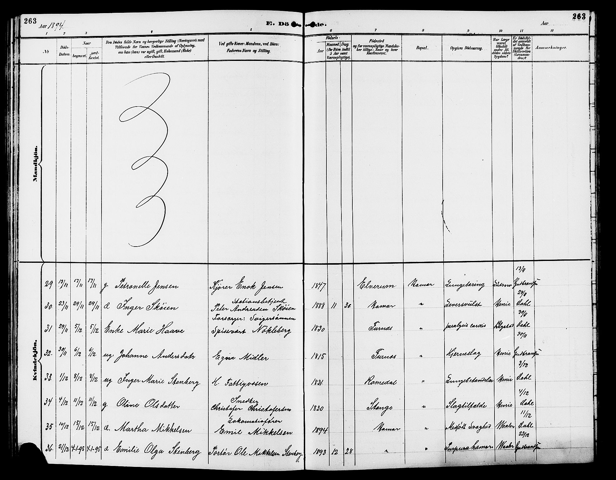 Vang prestekontor, Hedmark, SAH/PREST-008/H/Ha/Hab/L0013: Parish register (copy) no. 13, 1890-1899, p. 263