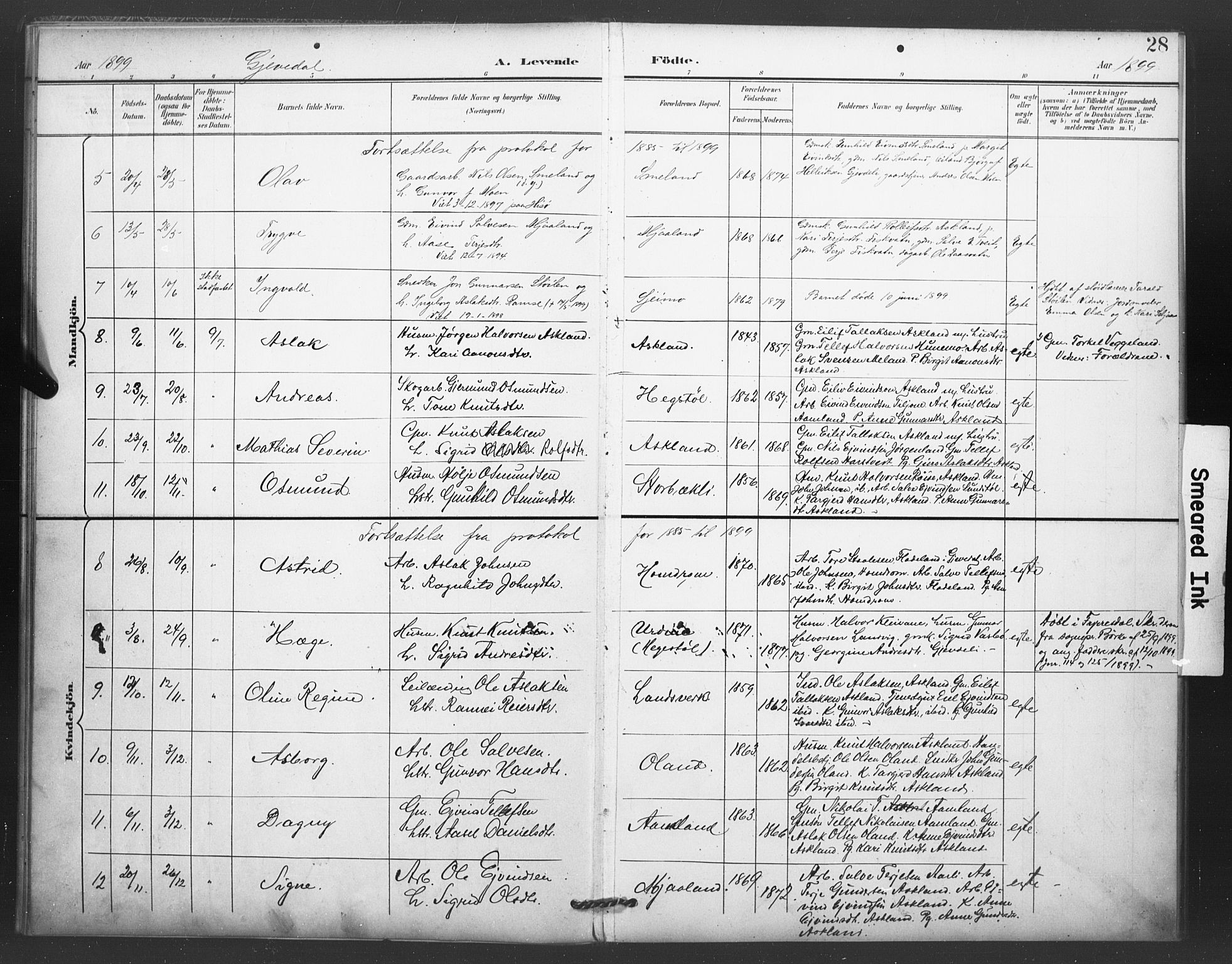 Åmli sokneprestkontor, AV/SAK-1111-0050/F/Fa/Fac/L0011: Parish register (official) no. A 11, 1898-1899, p. 28