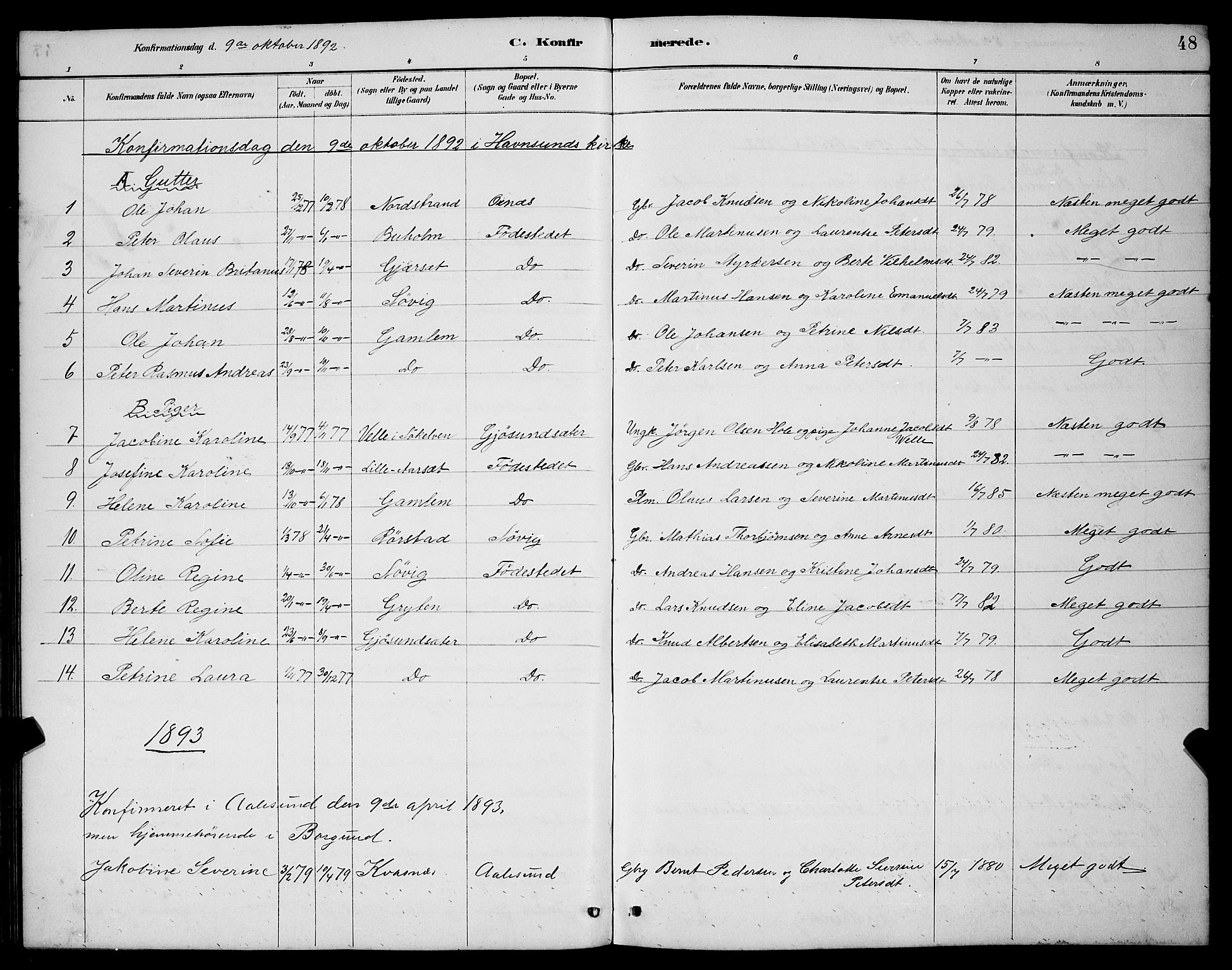 Ministerialprotokoller, klokkerbøker og fødselsregistre - Møre og Romsdal, SAT/A-1454/528/L0430: Parish register (copy) no. 528C11, 1884-1899, p. 48