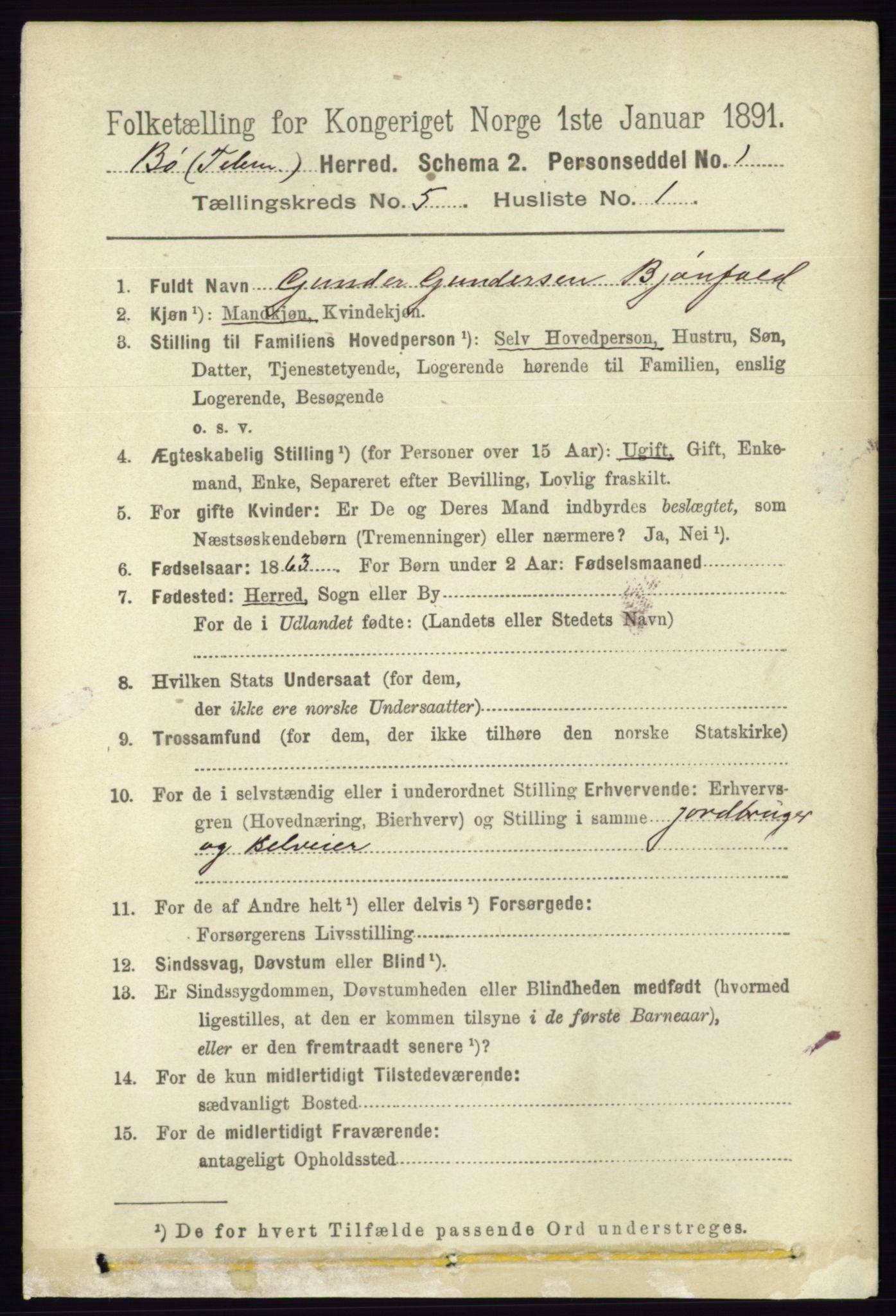 RA, 1891 census for 0821 Bø, 1891, p. 1419