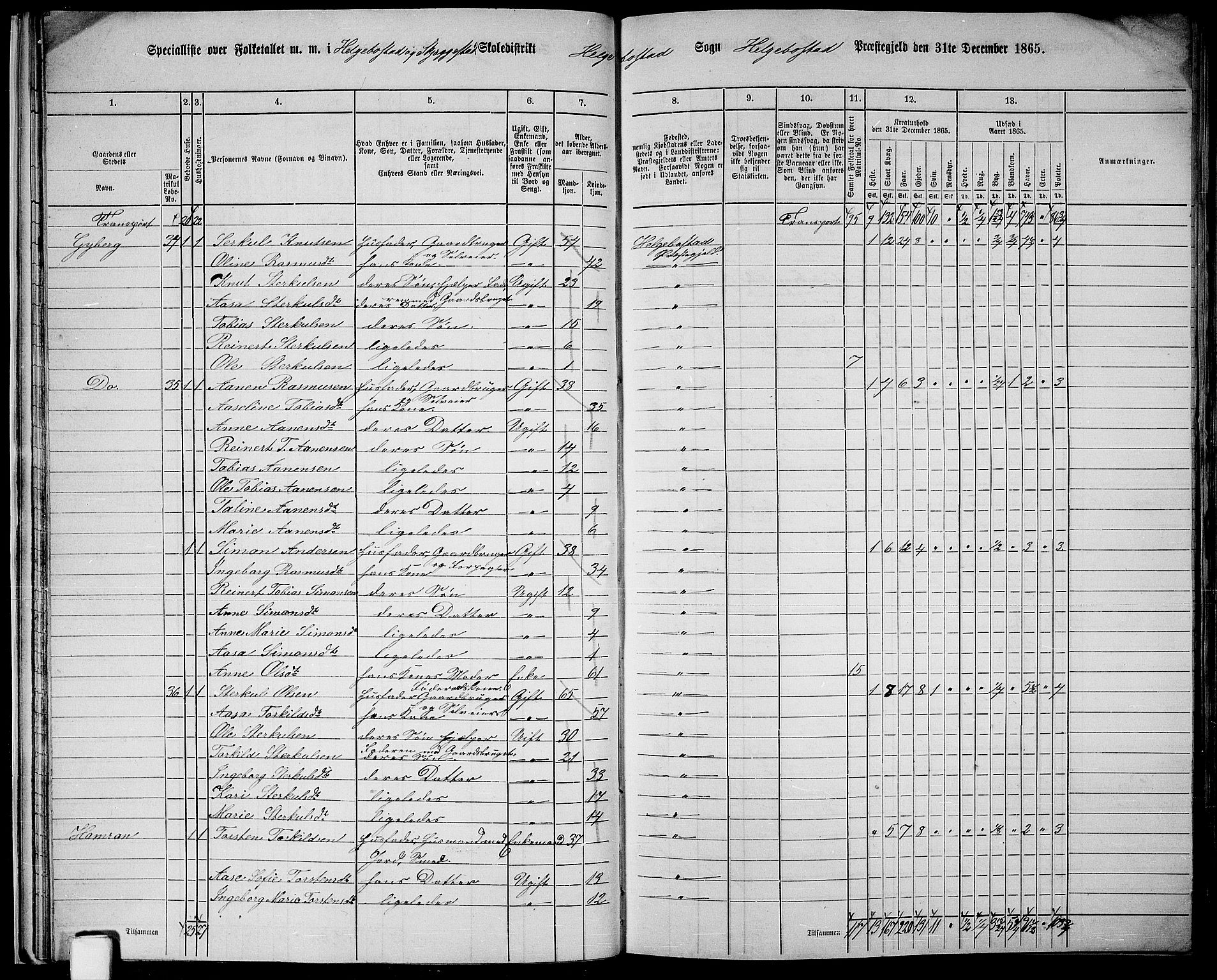 RA, 1865 census for Hægebostad, 1865, p. 24