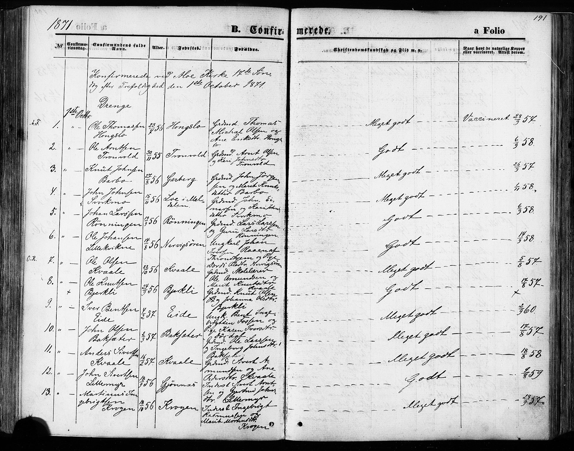 Ministerialprotokoller, klokkerbøker og fødselsregistre - Sør-Trøndelag, AV/SAT-A-1456/668/L0807: Parish register (official) no. 668A07, 1870-1880, p. 191