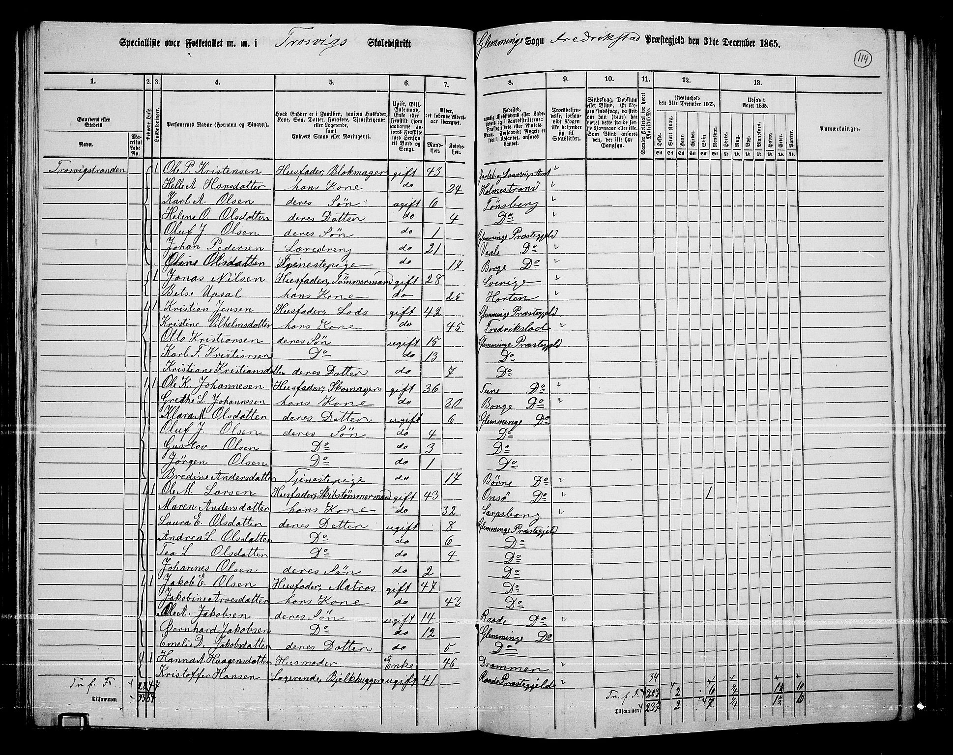 RA, 1865 census for Fredrikstad/Glemmen, 1865, p. 110