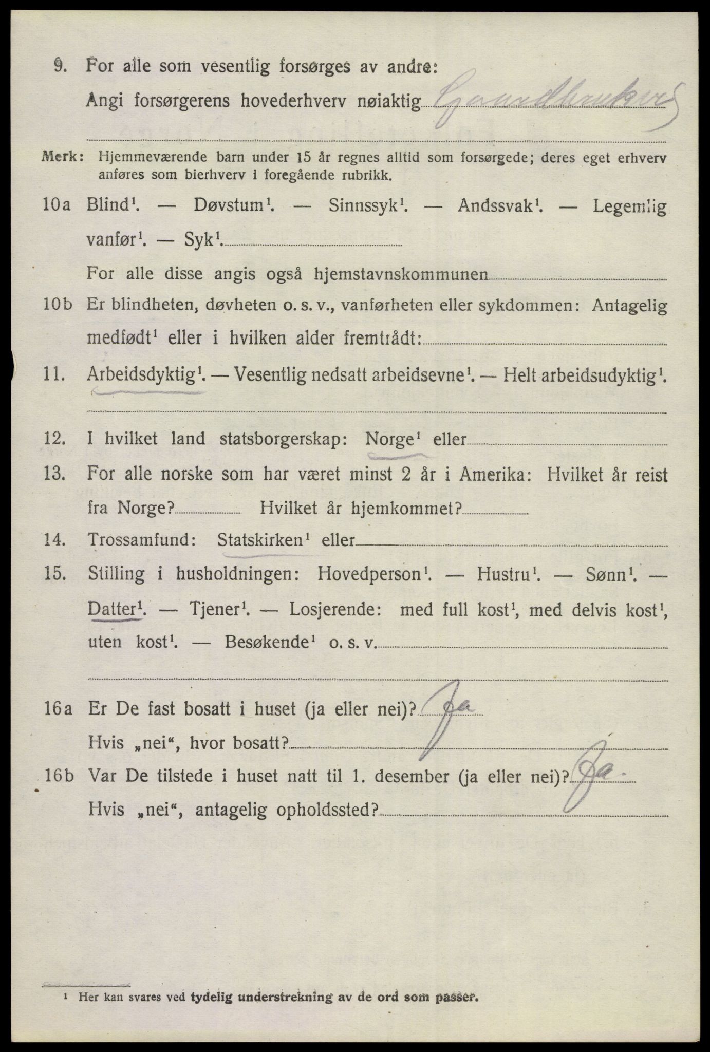 SAKO, 1920 census for Hol (Buskerud), 1920, p. 1846