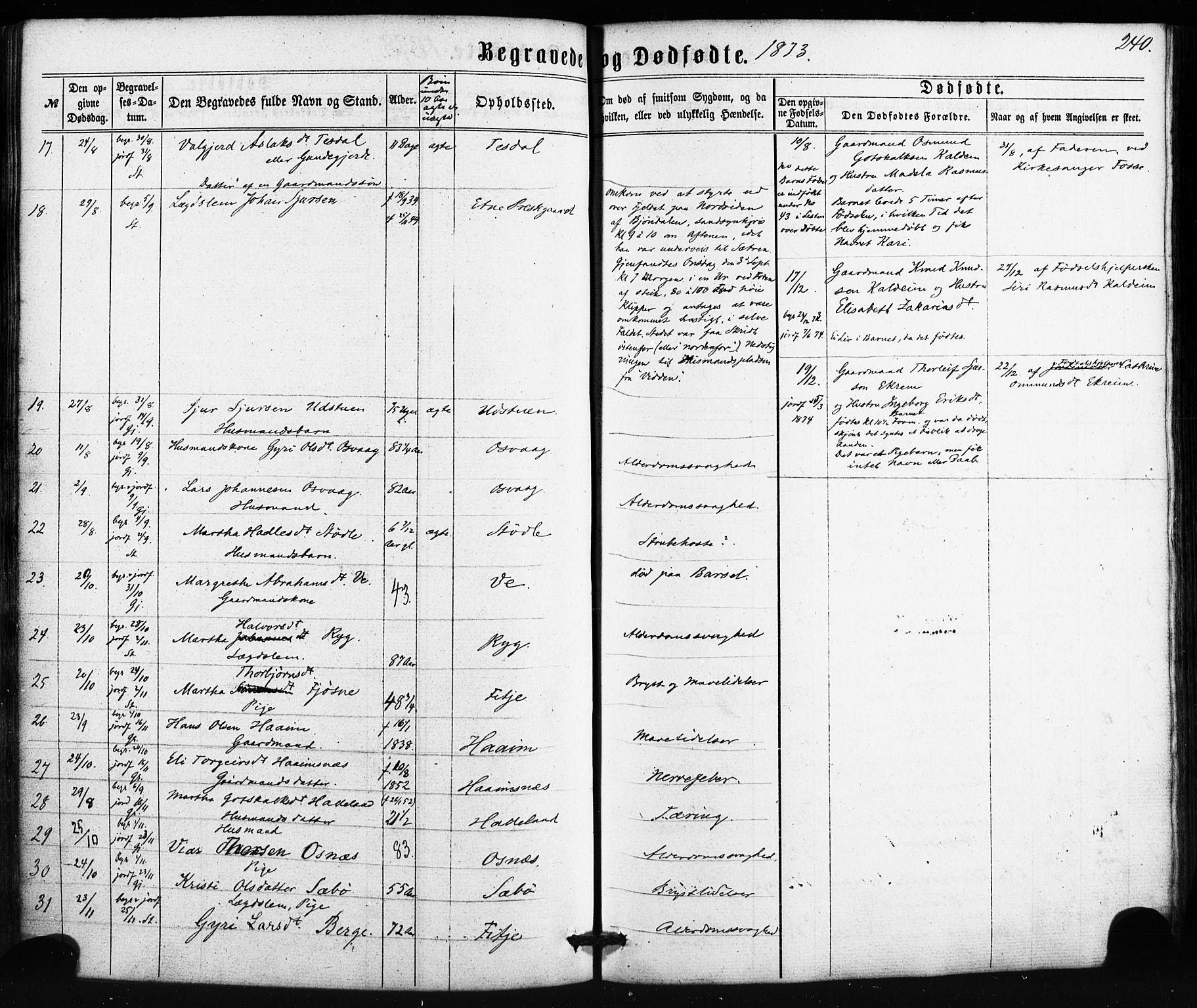 Etne sokneprestembete, SAB/A-75001/H/Haa: Parish register (official) no. A 9, 1862-1878, p. 240