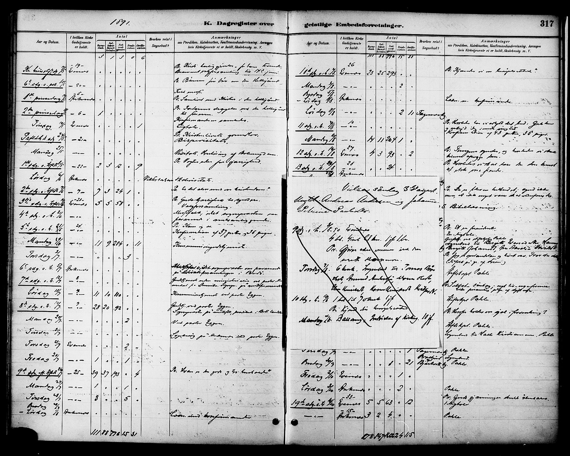 Ministerialprotokoller, klokkerbøker og fødselsregistre - Nordland, AV/SAT-A-1459/863/L0898: Parish register (official) no. 863A10, 1886-1897, p. 317