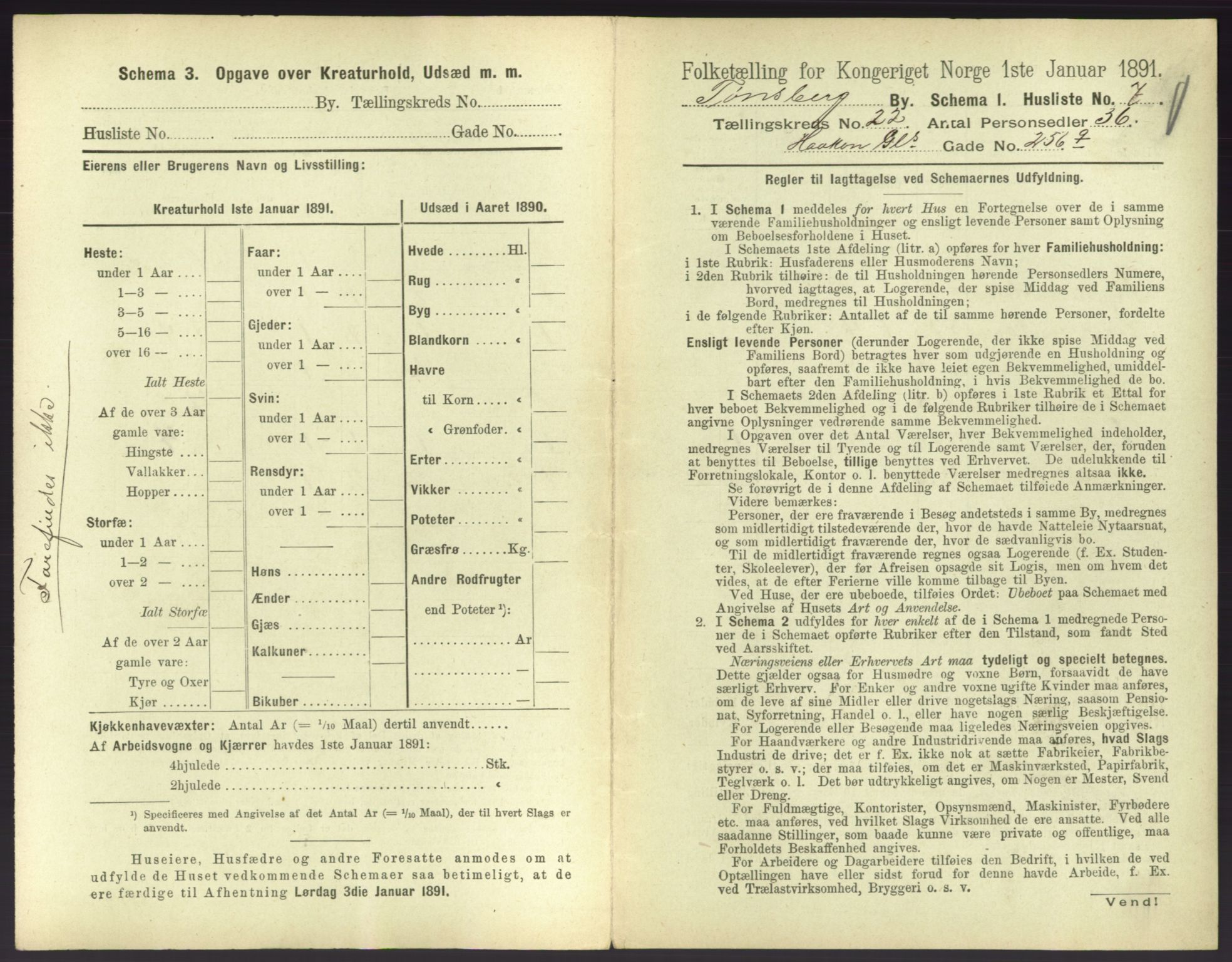 RA, 1891 census for 0705 Tønsberg, 1891, p. 732