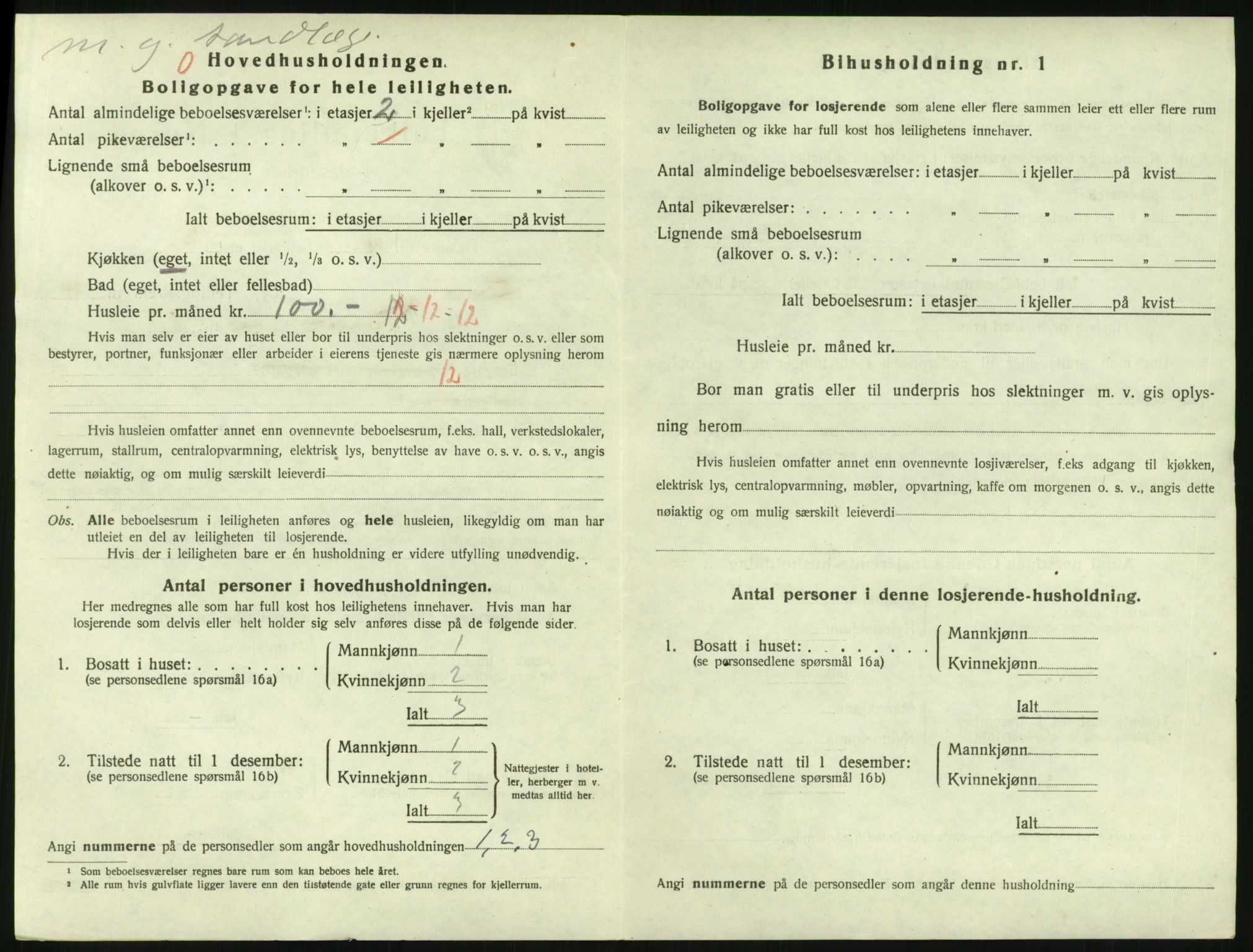 SAKO, 1920 census for Larvik, 1920, p. 4173