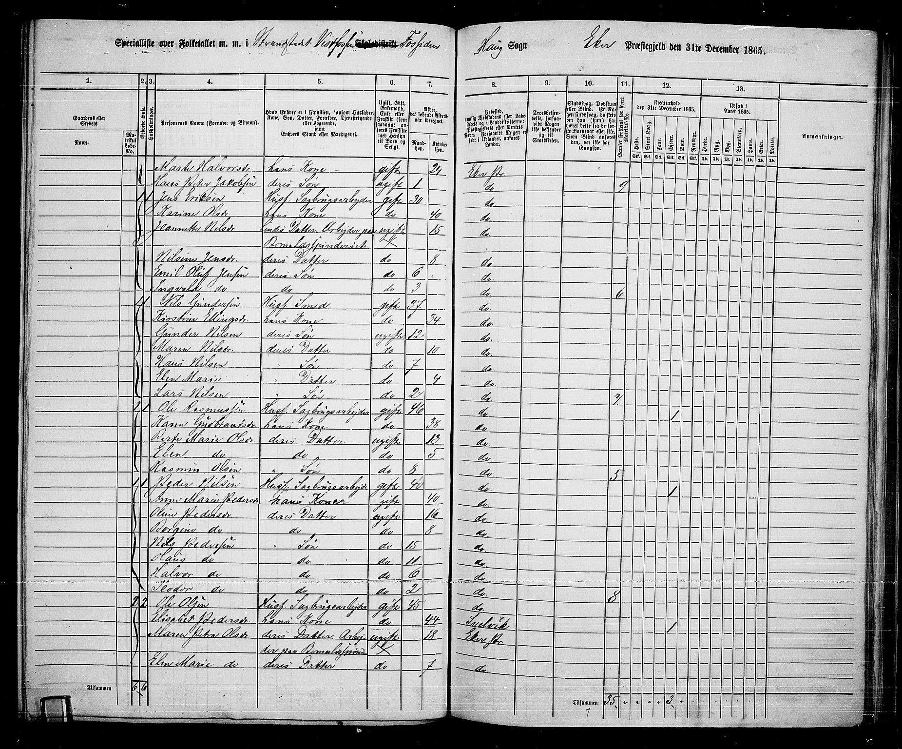 RA, 1865 census for Eiker, 1865, p. 225