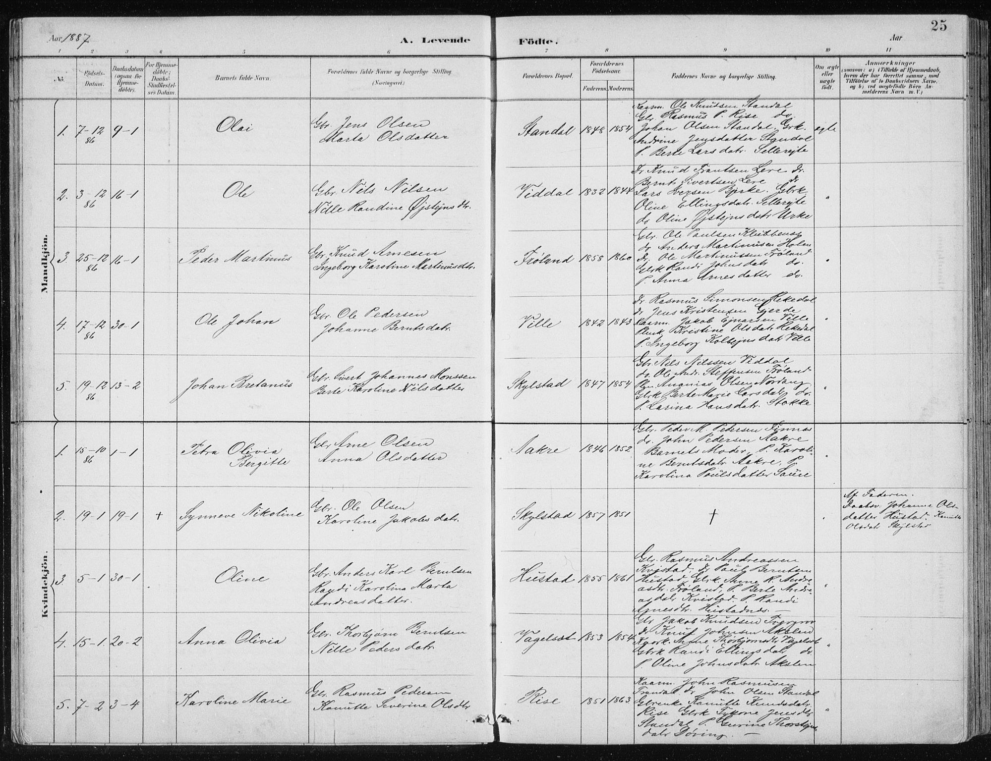 Ministerialprotokoller, klokkerbøker og fødselsregistre - Møre og Romsdal, AV/SAT-A-1454/515/L0215: Parish register (copy) no. 515C02, 1884-1906, p. 25