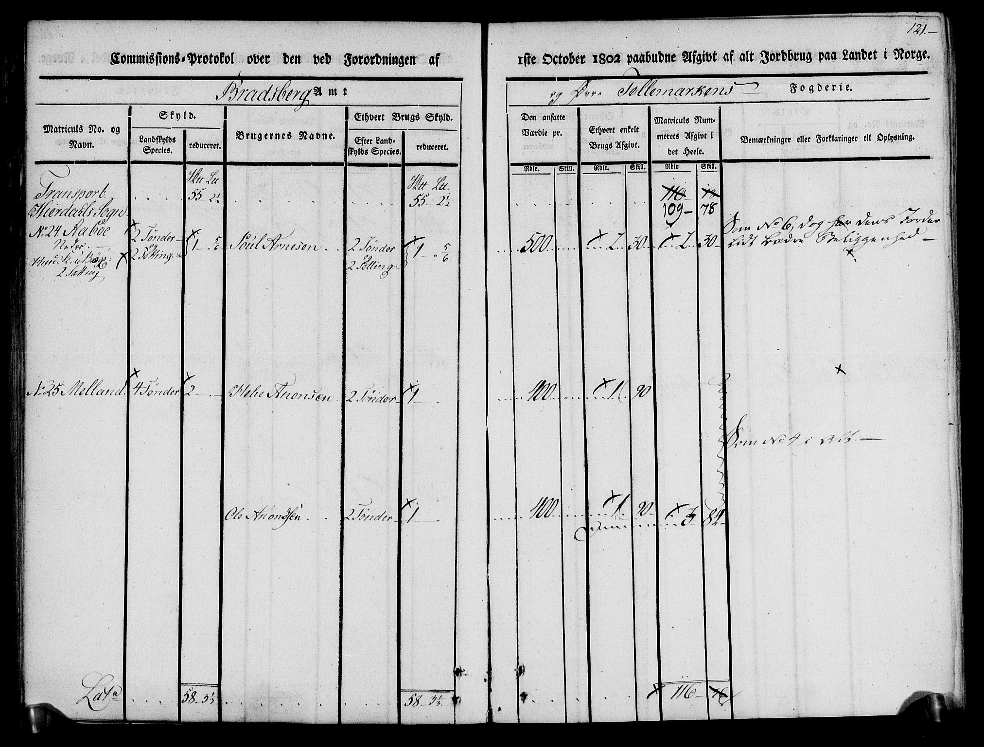 Rentekammeret inntil 1814, Realistisk ordnet avdeling, AV/RA-EA-4070/N/Ne/Nea/L0074: Øvre Telemarken fogderi. Kommisjonsprotokoll for fogderiets østre del - Tinn, Hjartdal og Seljord prestegjeld., 1803, p. 121