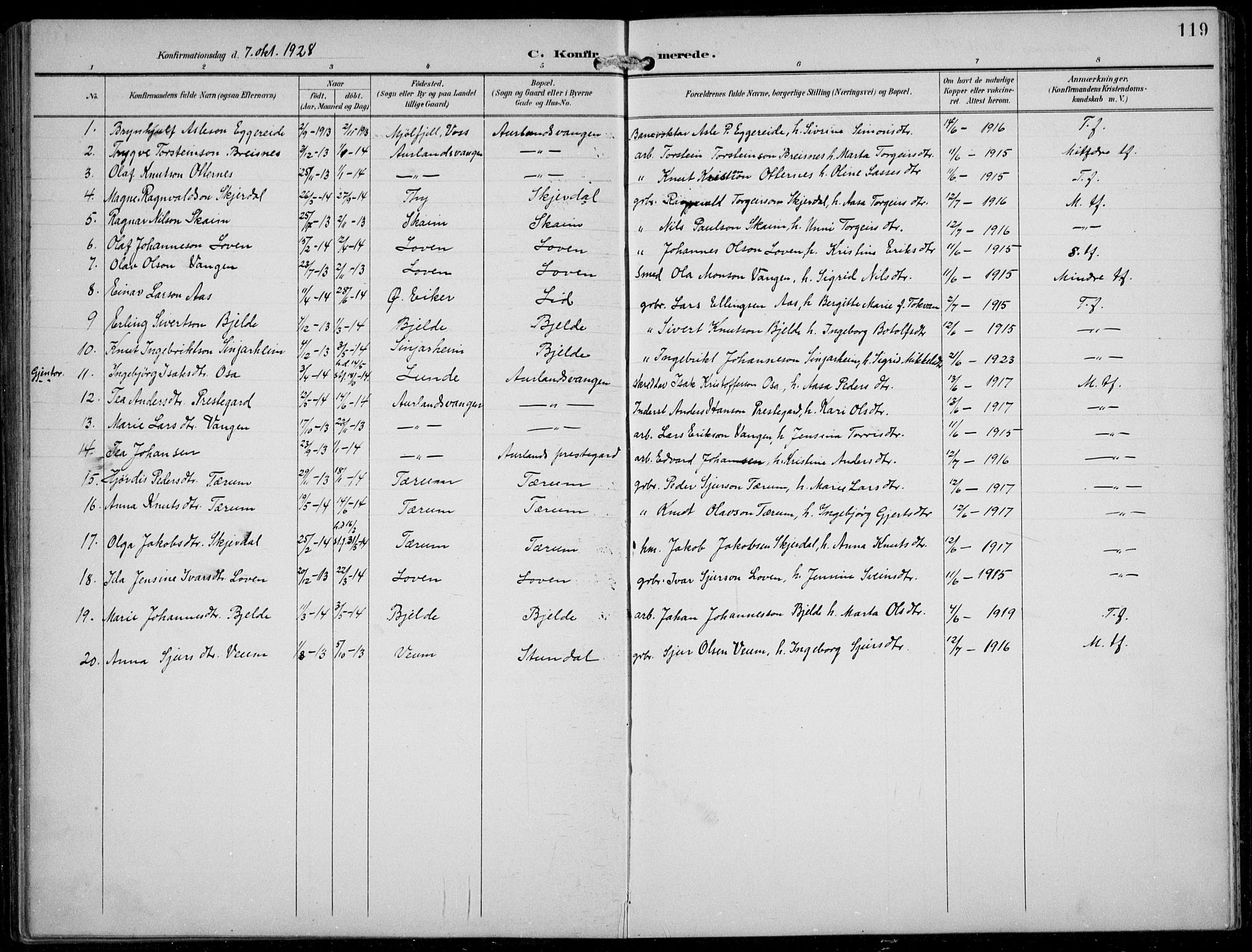 Aurland sokneprestembete, AV/SAB-A-99937/H/Hb/Hba/L0003: Parish register (copy) no. A 3, 1896-1939, p. 119