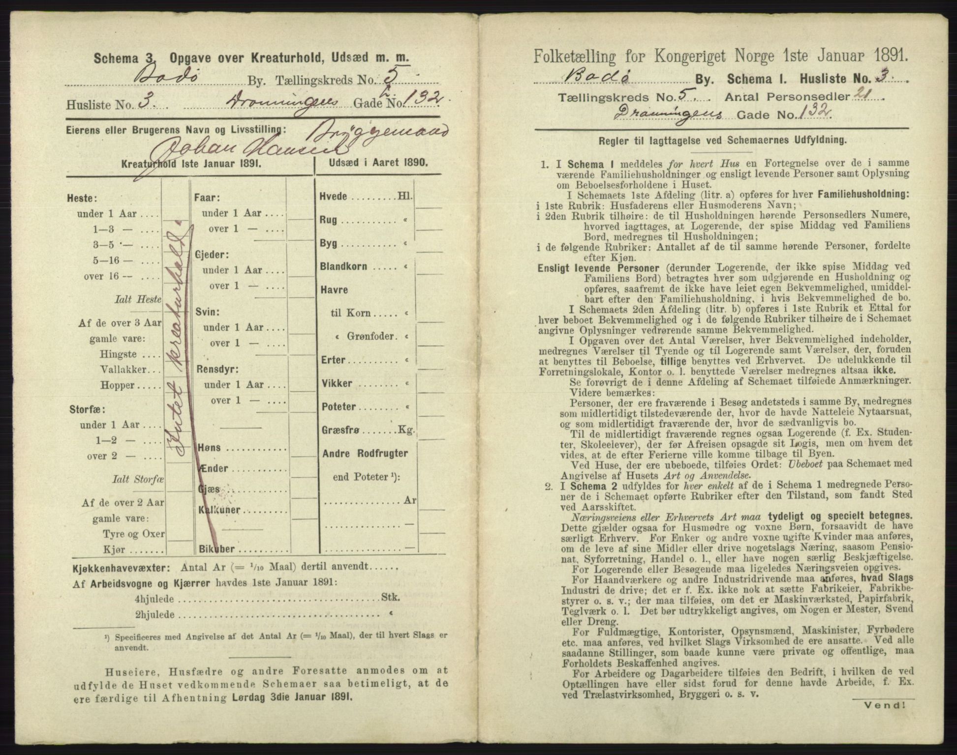 RA, 1891 census for 1804 Bodø, 1891, p. 3807