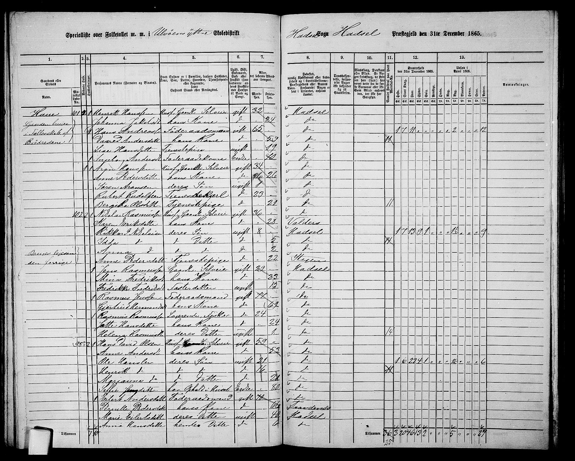 RA, 1865 census for Hadsel, 1865, p. 95
