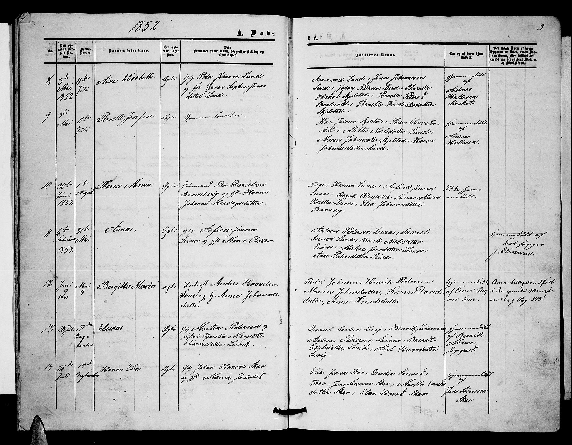 Ministerialprotokoller, klokkerbøker og fødselsregistre - Nordland, SAT/A-1459/857/L0827: Parish register (copy) no. 857C02, 1852-1879, p. 3