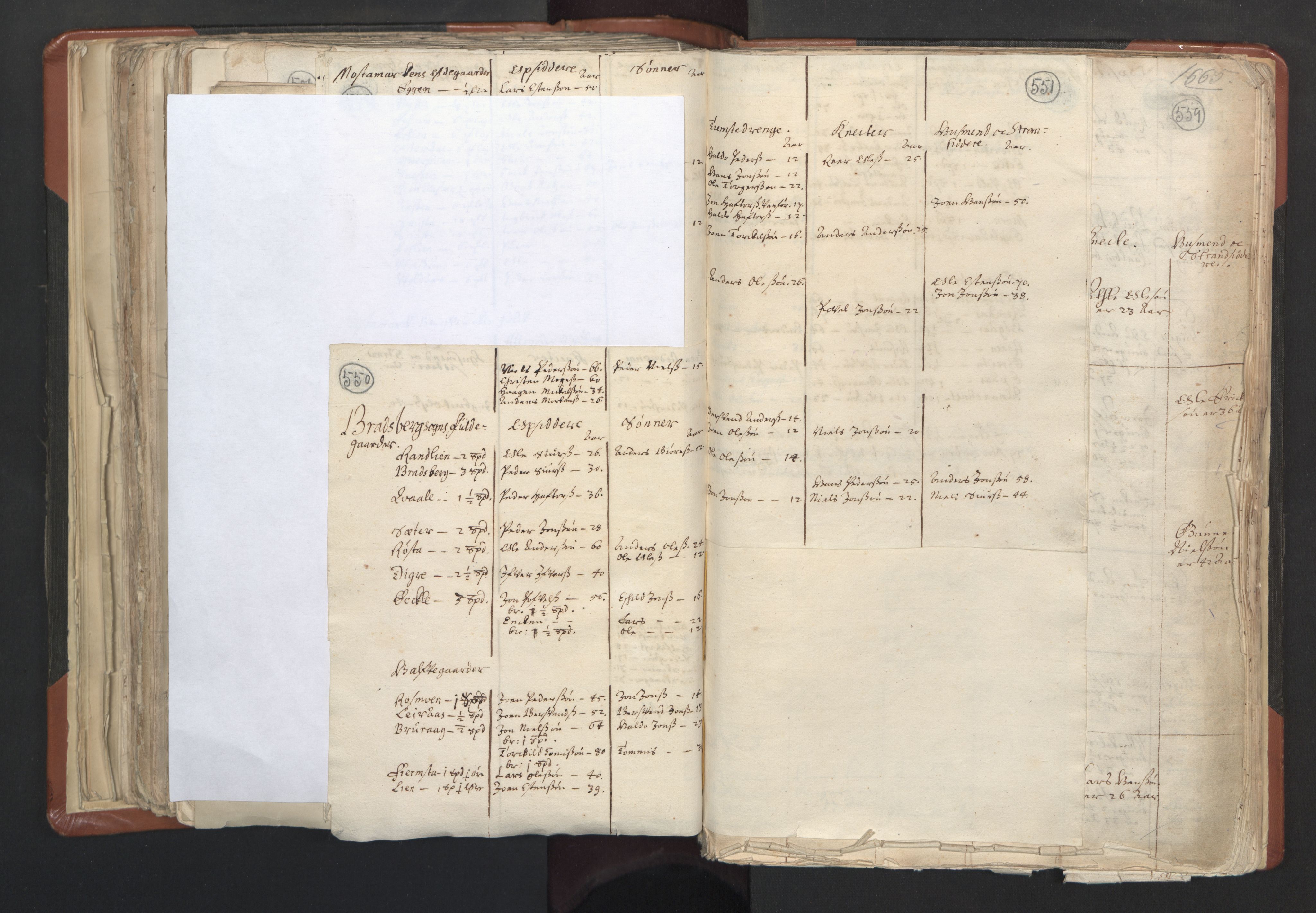RA, Vicar's Census 1664-1666, no. 31: Dalane deanery, 1664-1666, p. 550-551