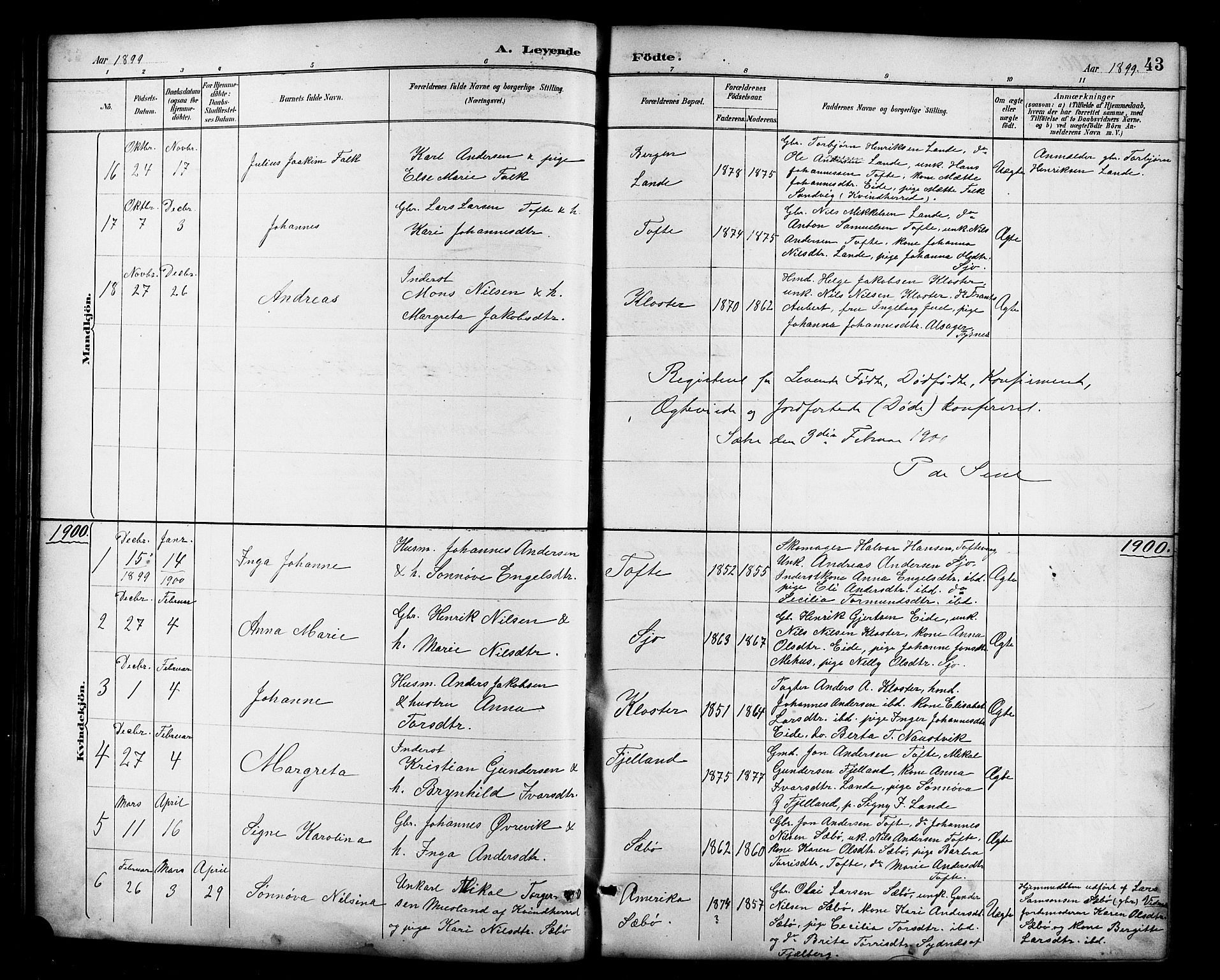 Fjelberg sokneprestembete, AV/SAB-A-75201/H/Hab: Parish register (copy) no. B 4, 1889-1919, p. 43